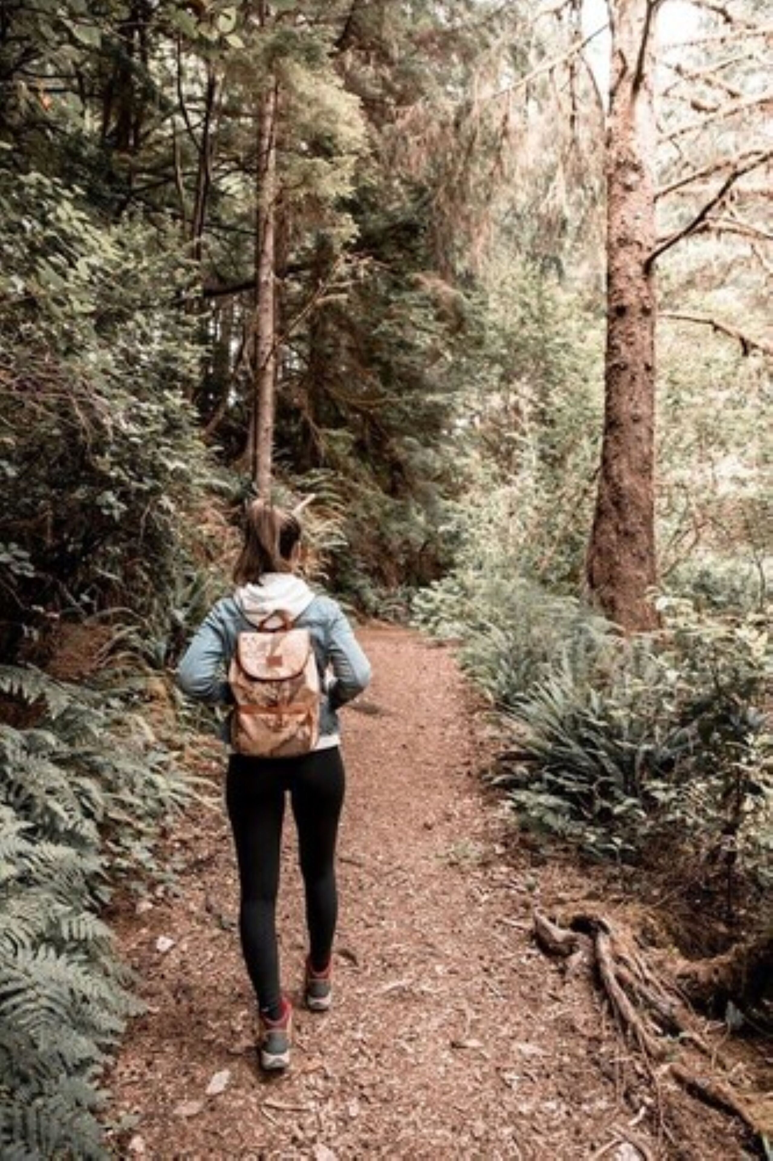 Salishan Coastal Lodge by SCP