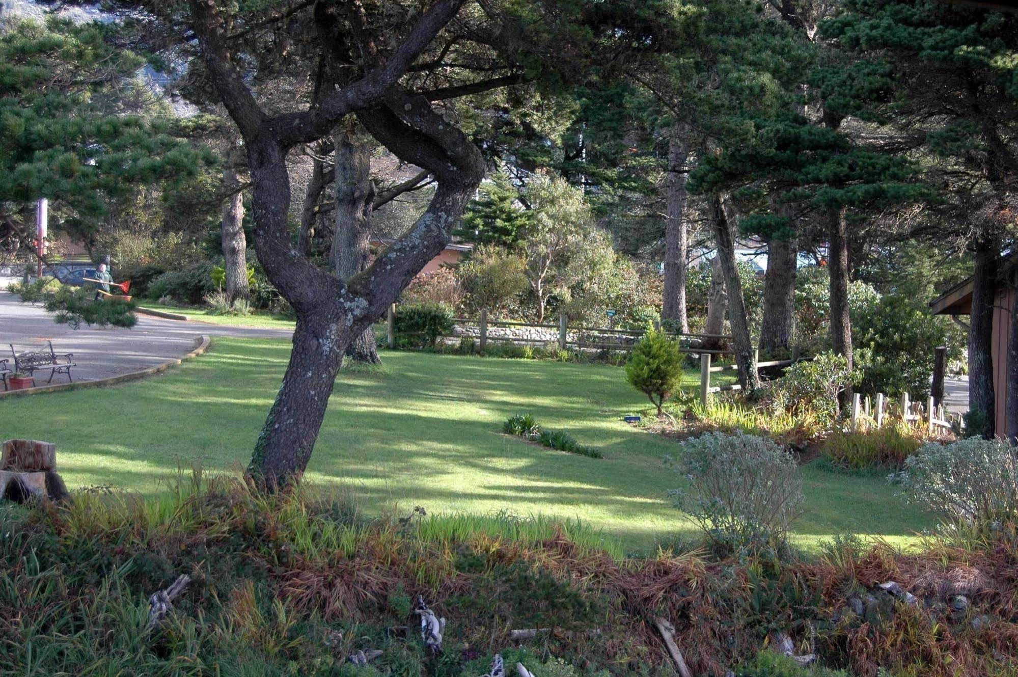 Ireland's Rustic Lodges