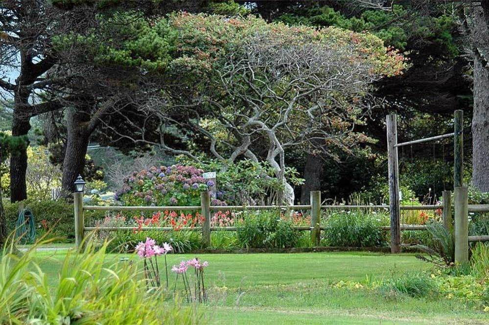 Ireland's Rustic Lodges