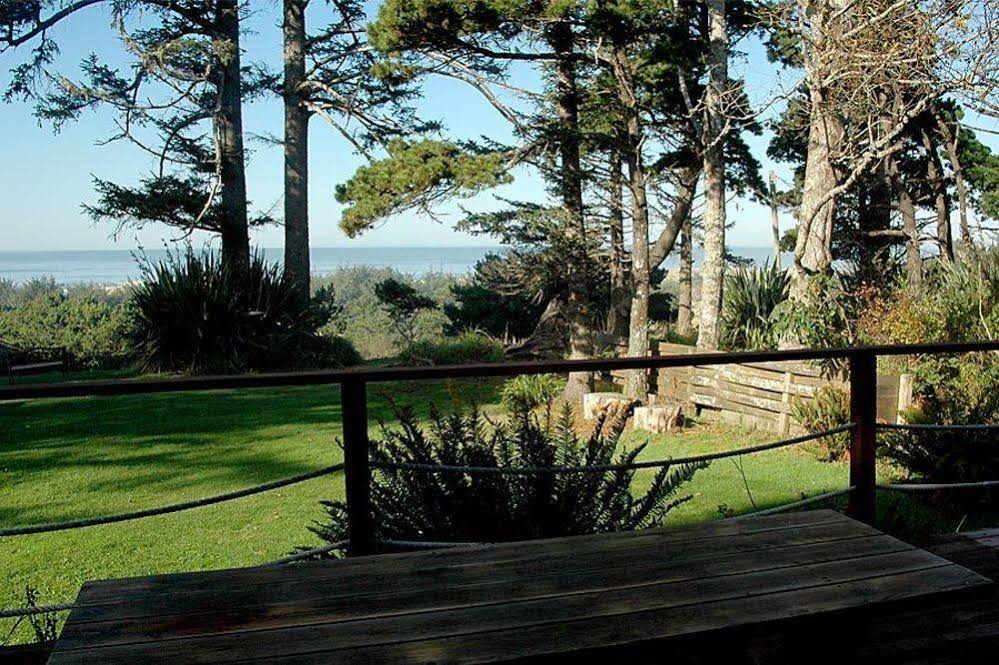 Ireland's Rustic Lodges