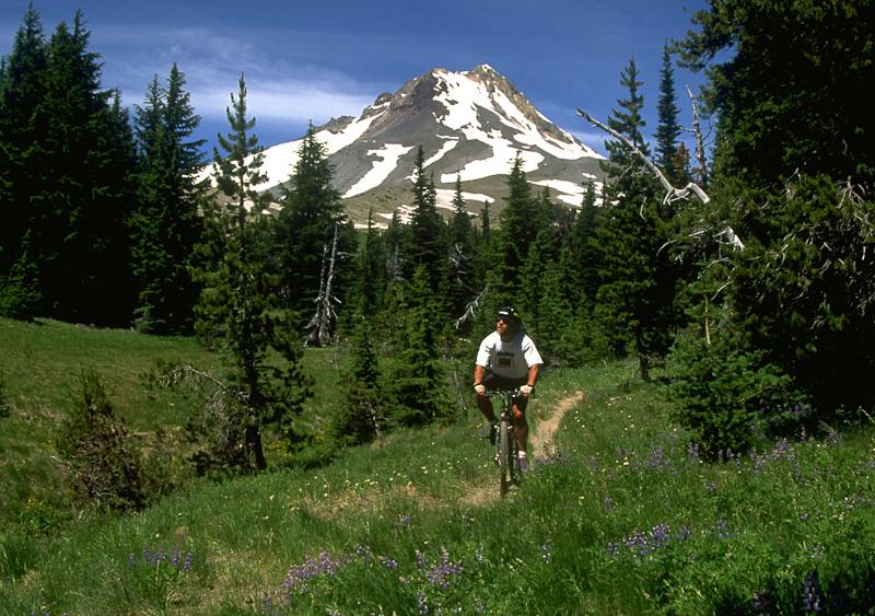 Best Western Mt. Hood Inn