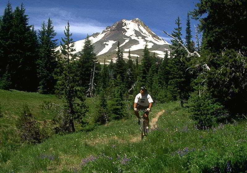 Best Western Mt. Hood Inn
