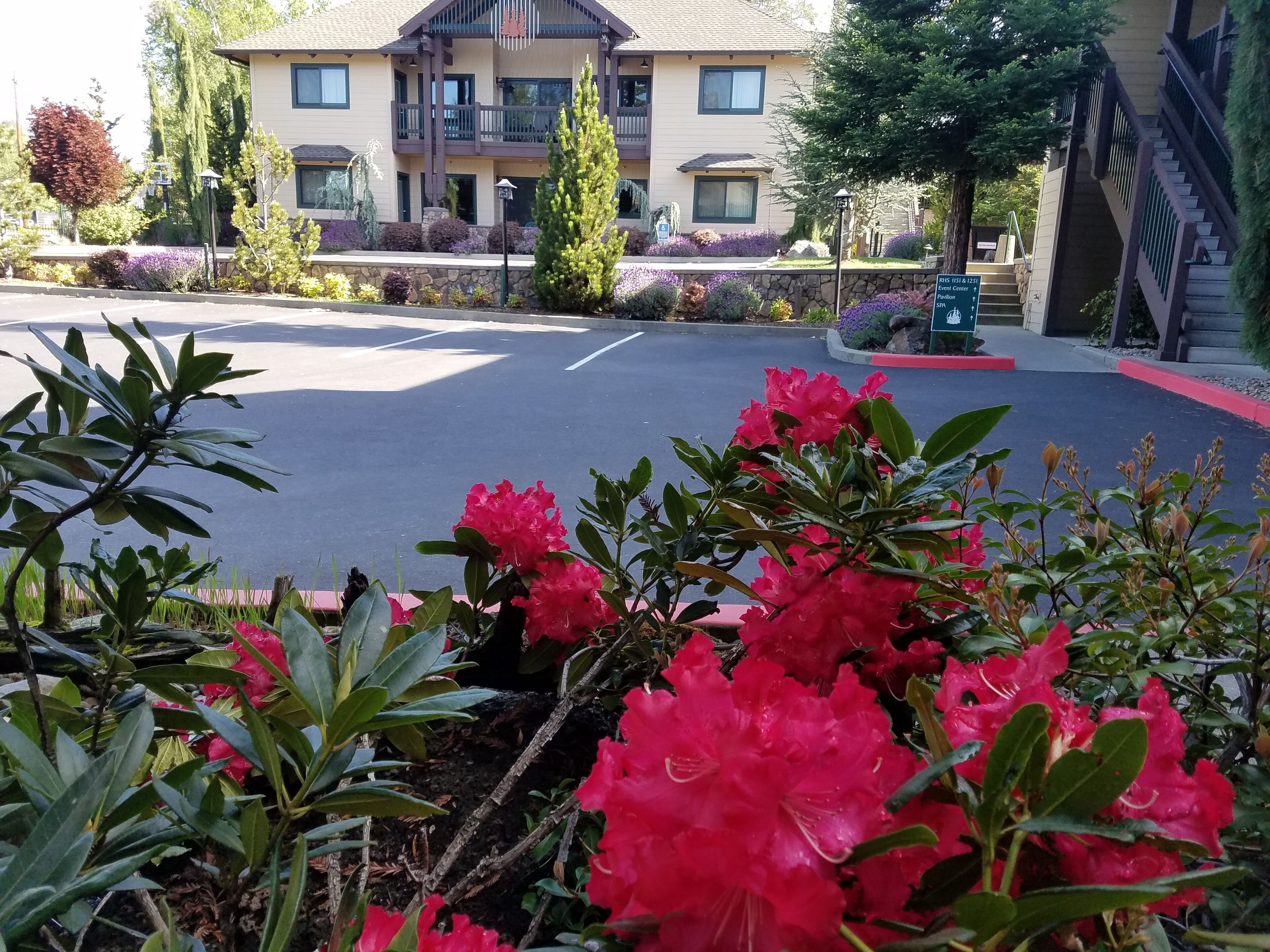 Redwood Hyperion Suites