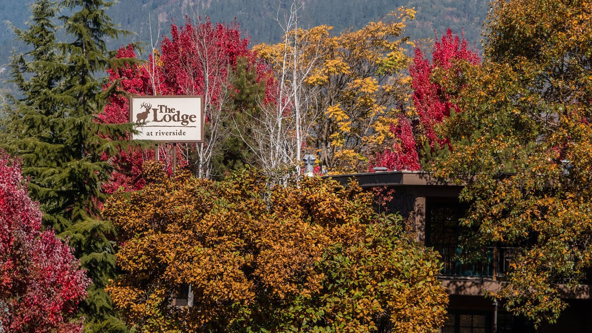 The Lodge at Riverside