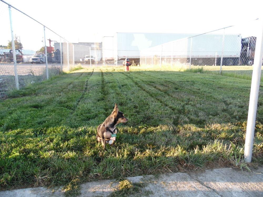 Rodeway Inn Hermiston Umatilla