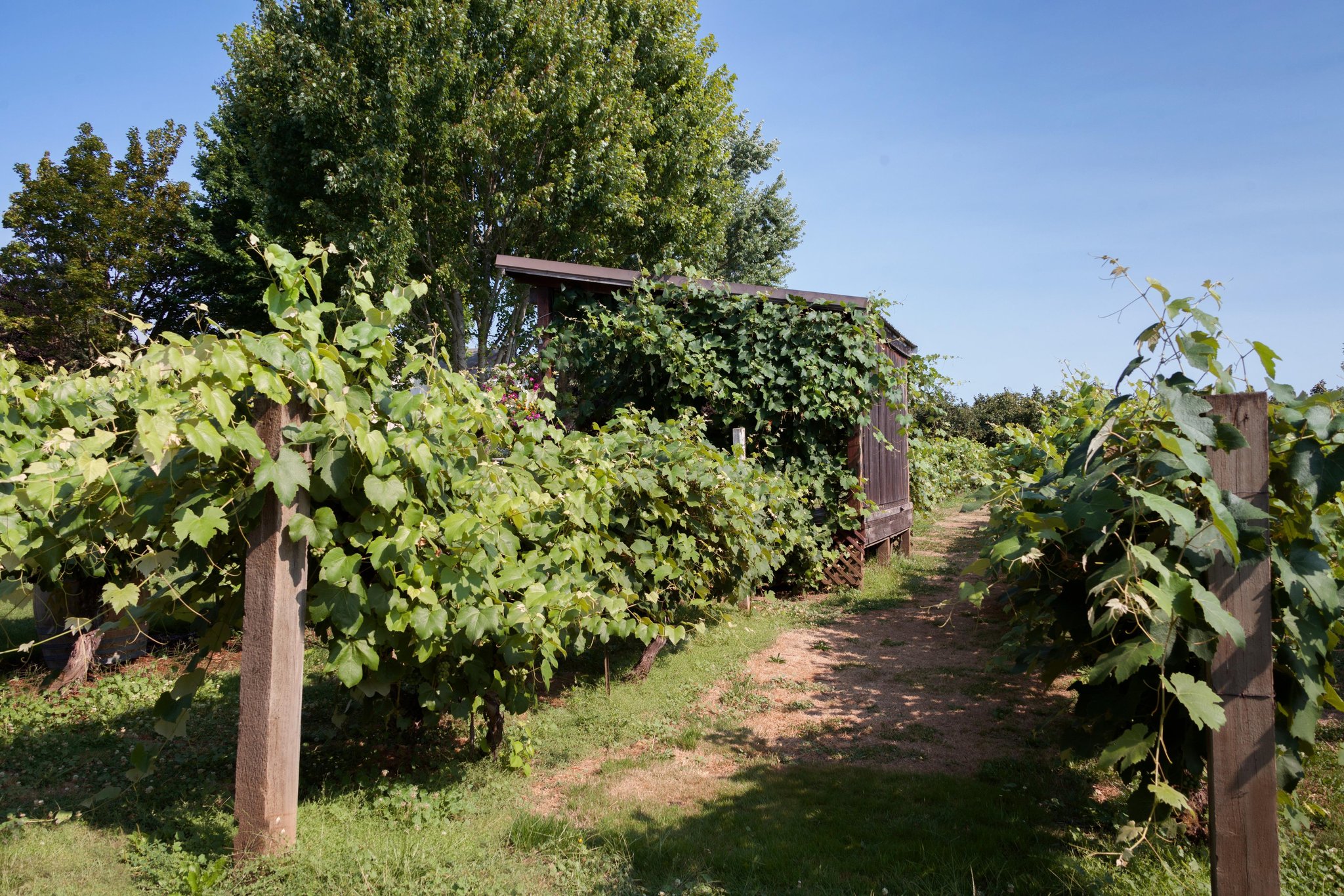 Hampton Inn & Suites Portland/Hillsboro-Evergreen Park