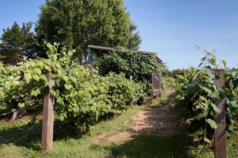 Hampton Inn & Suites Portland/Hillsboro-Evergreen Park