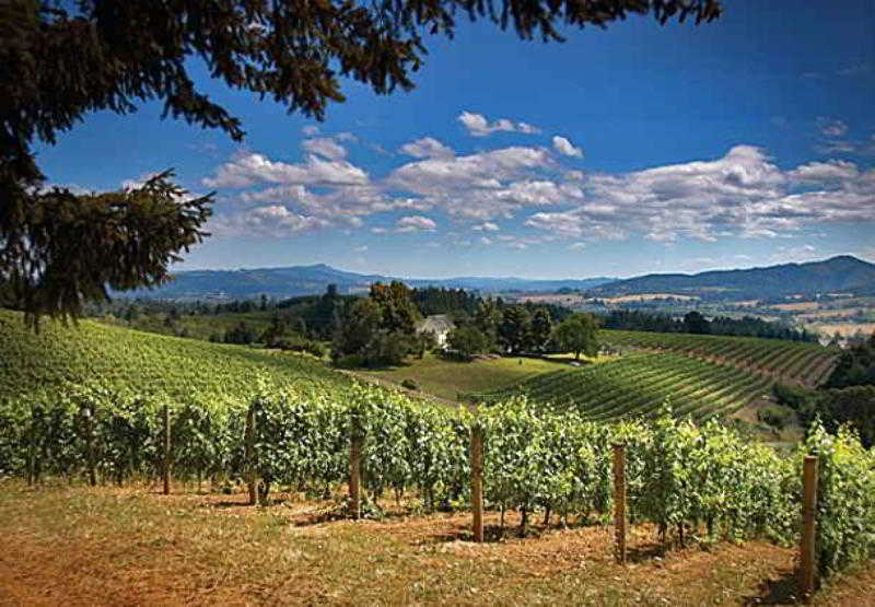 TownePlace Suites Portland Hillsboro