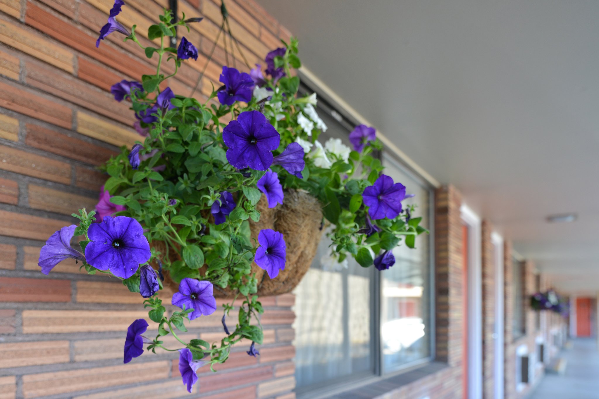 Travelodge by Wyndham Klamath Falls