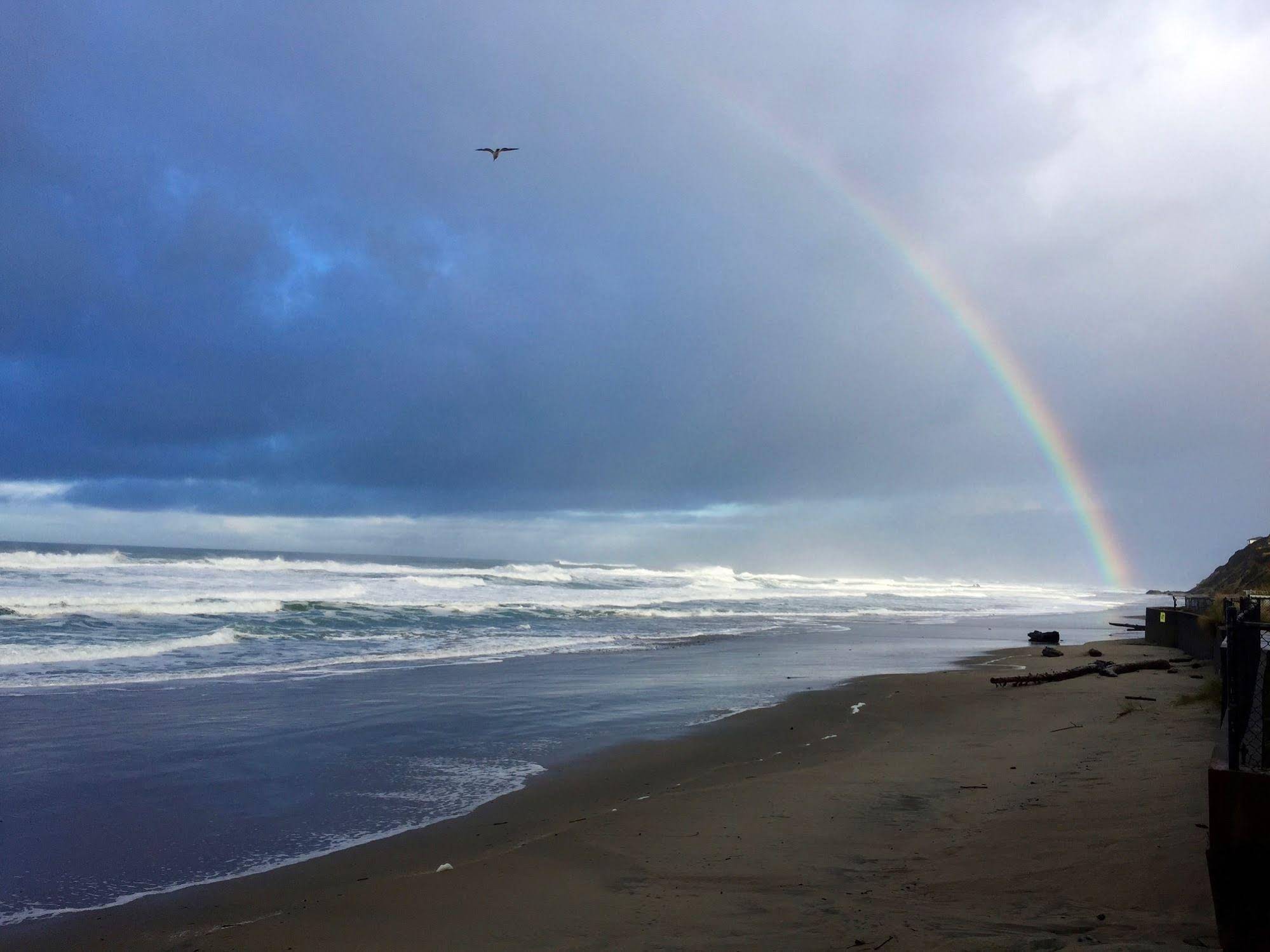 Sandcastle Beachfront Motel