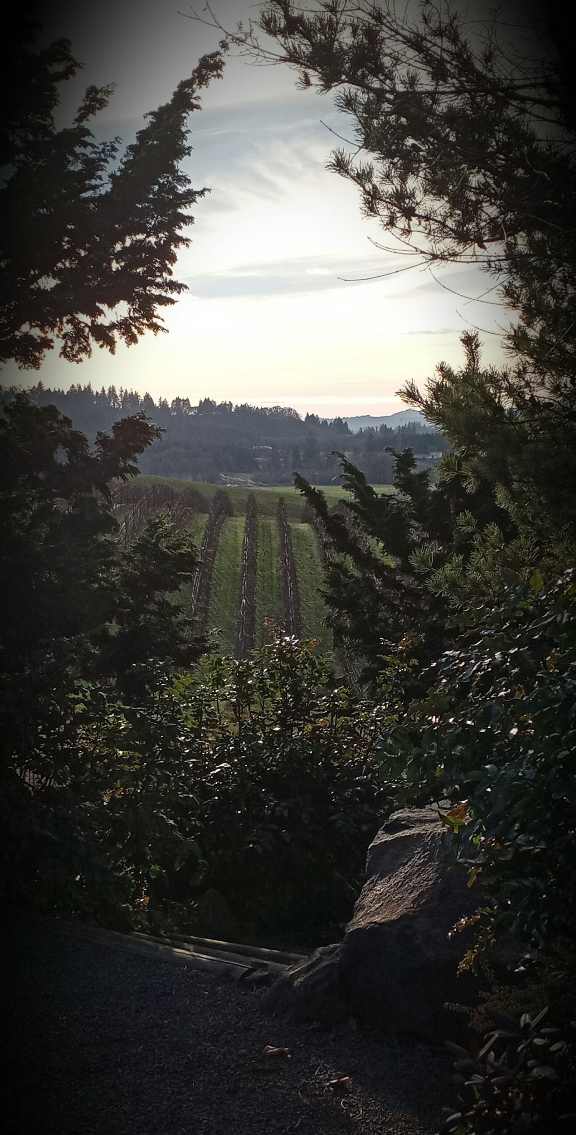 The Boutique Retreat