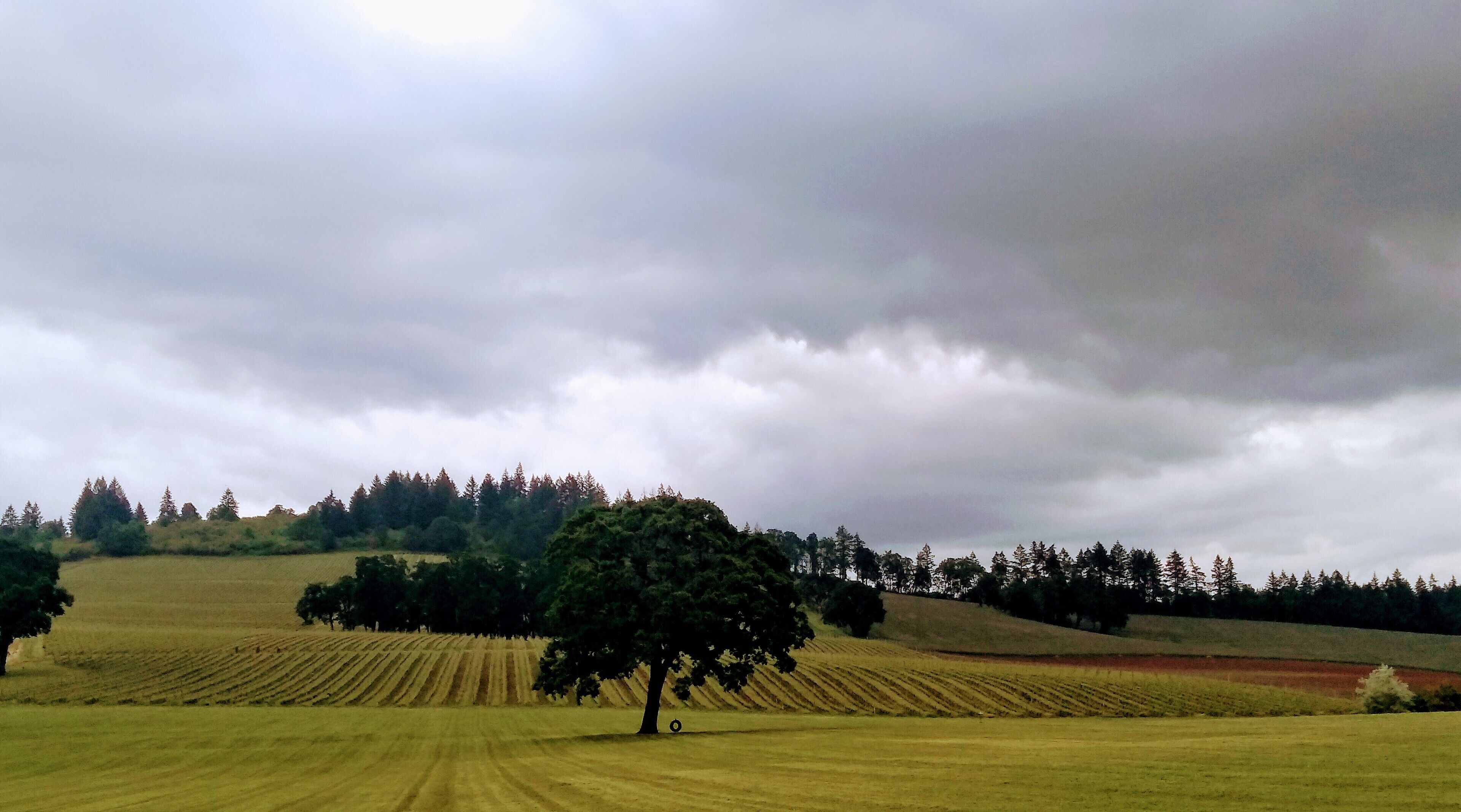 The Boutique Retreat