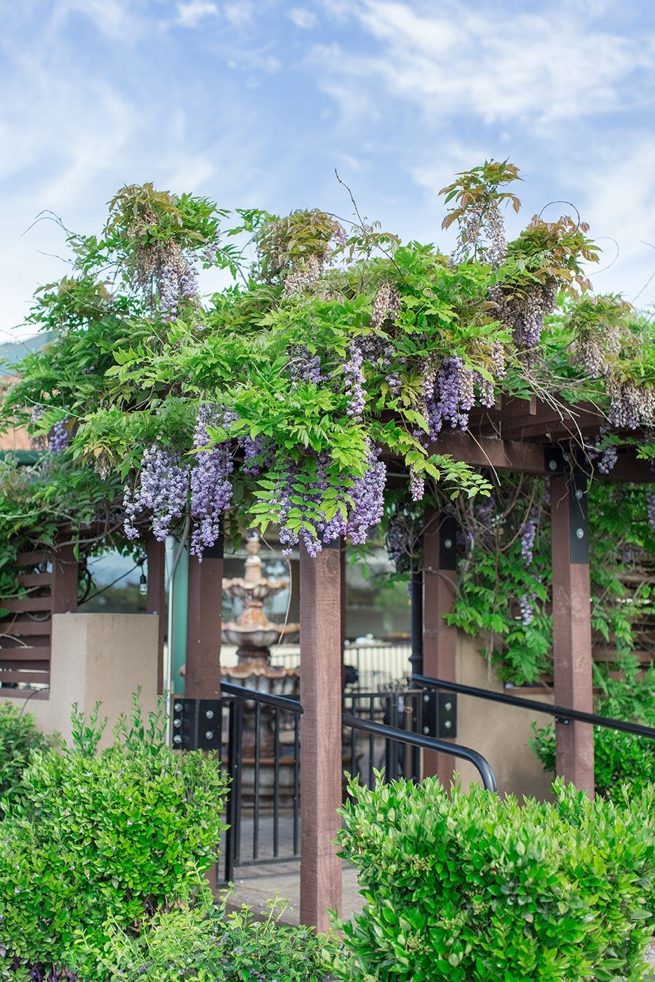 Rogue Regency Inn & Suites