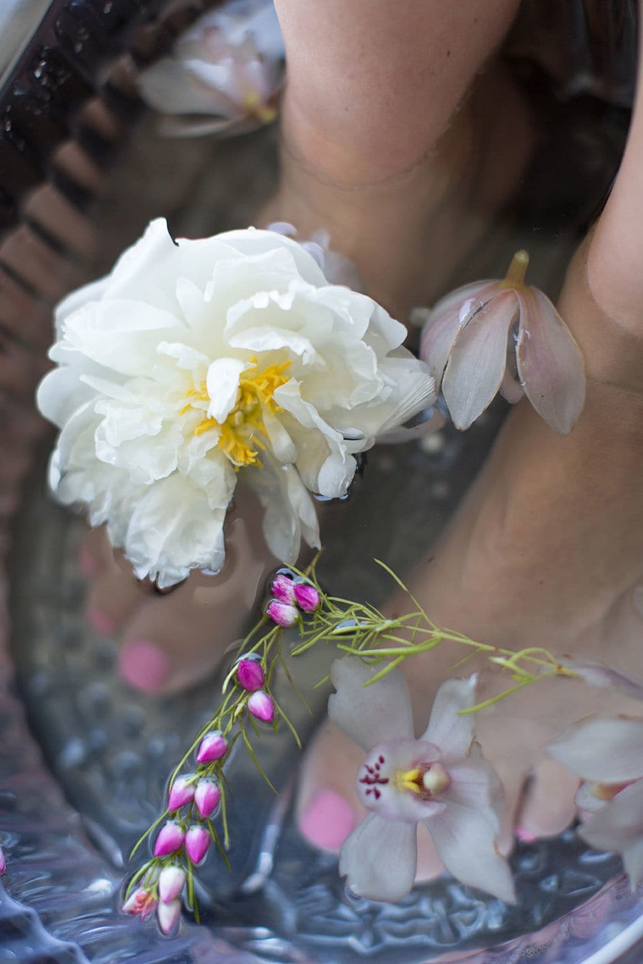 Rogue Regency Inn & Suites