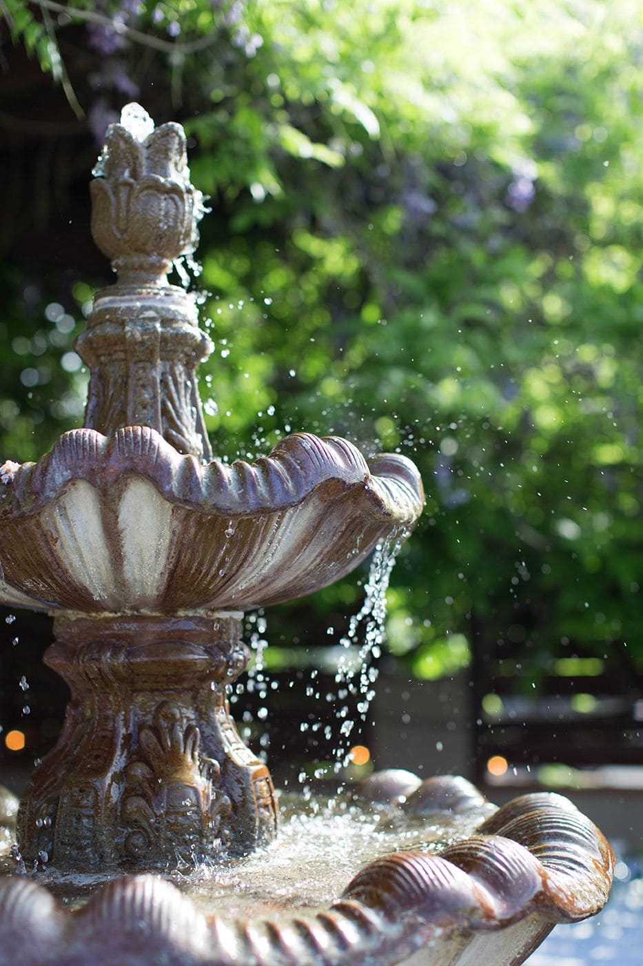 Rogue Regency Inn & Suites