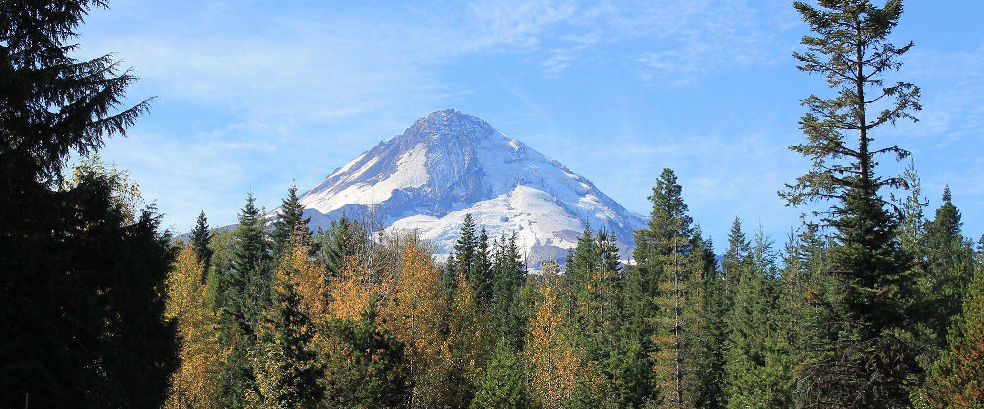 Cooper Spur Mountain Resort