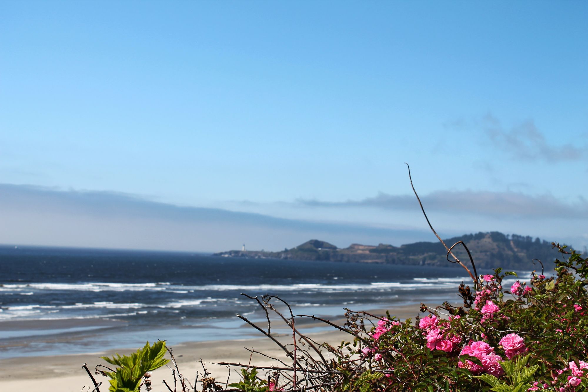 The Inn At Nye Beach