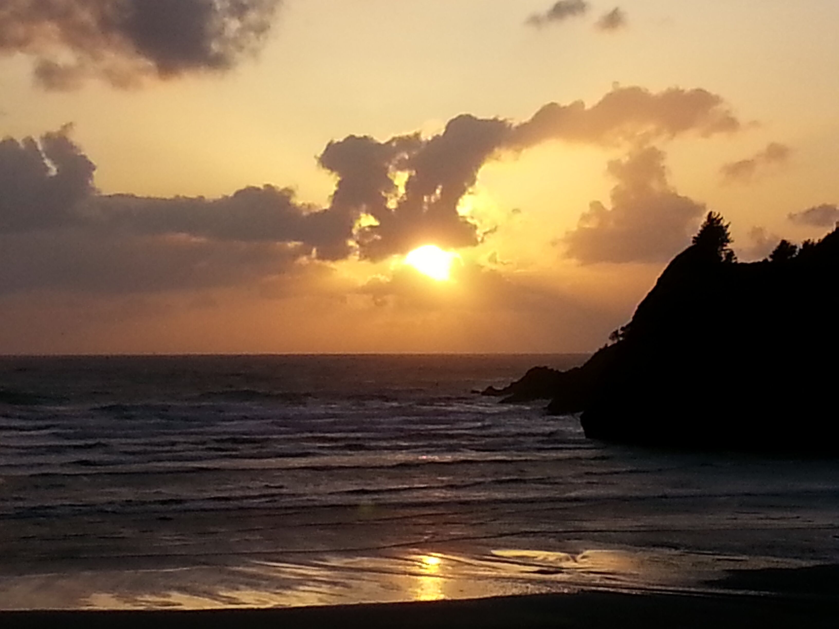 Tyee Lodge Bed and Breakfast