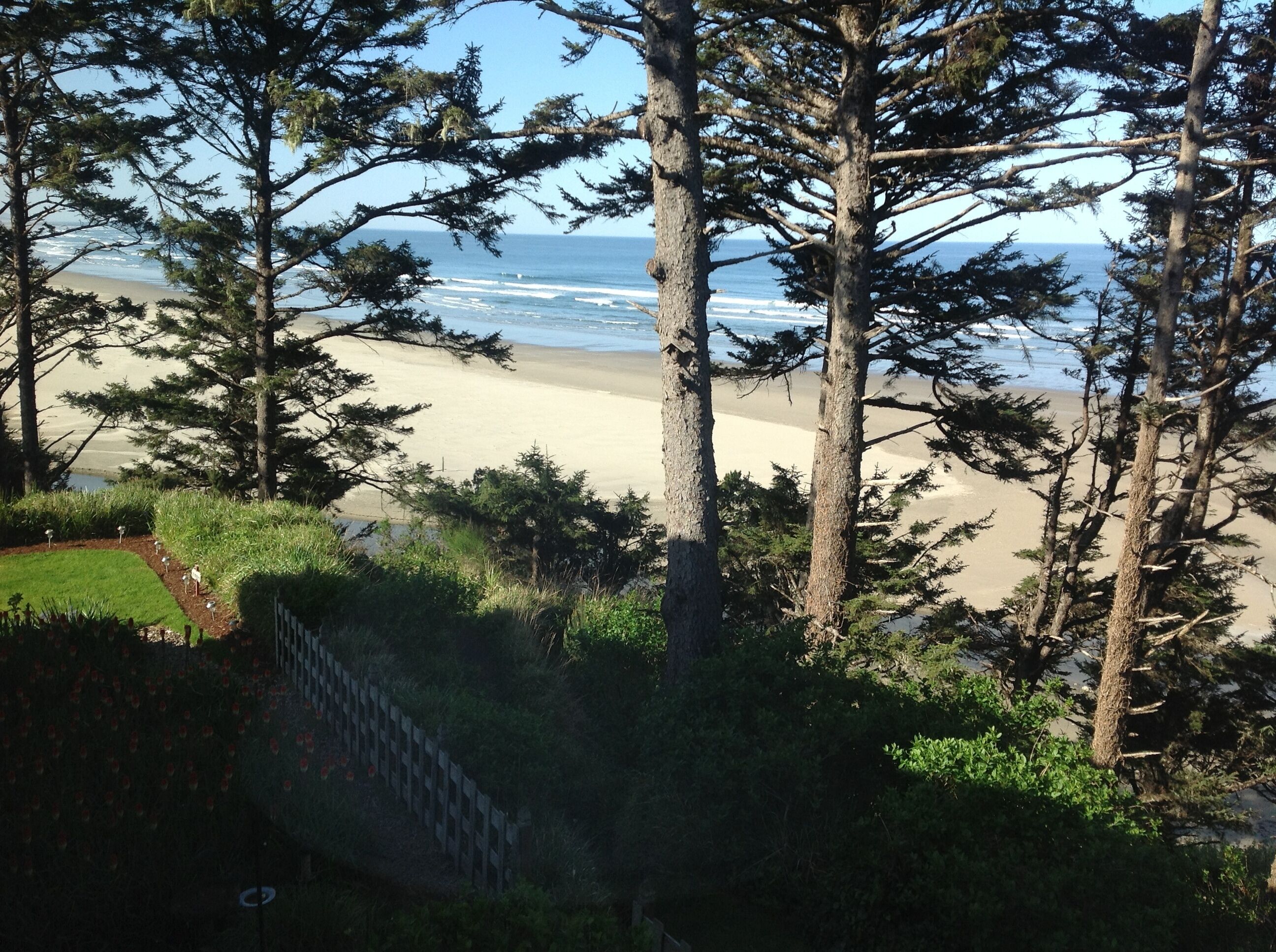 Tyee Lodge Bed and Breakfast