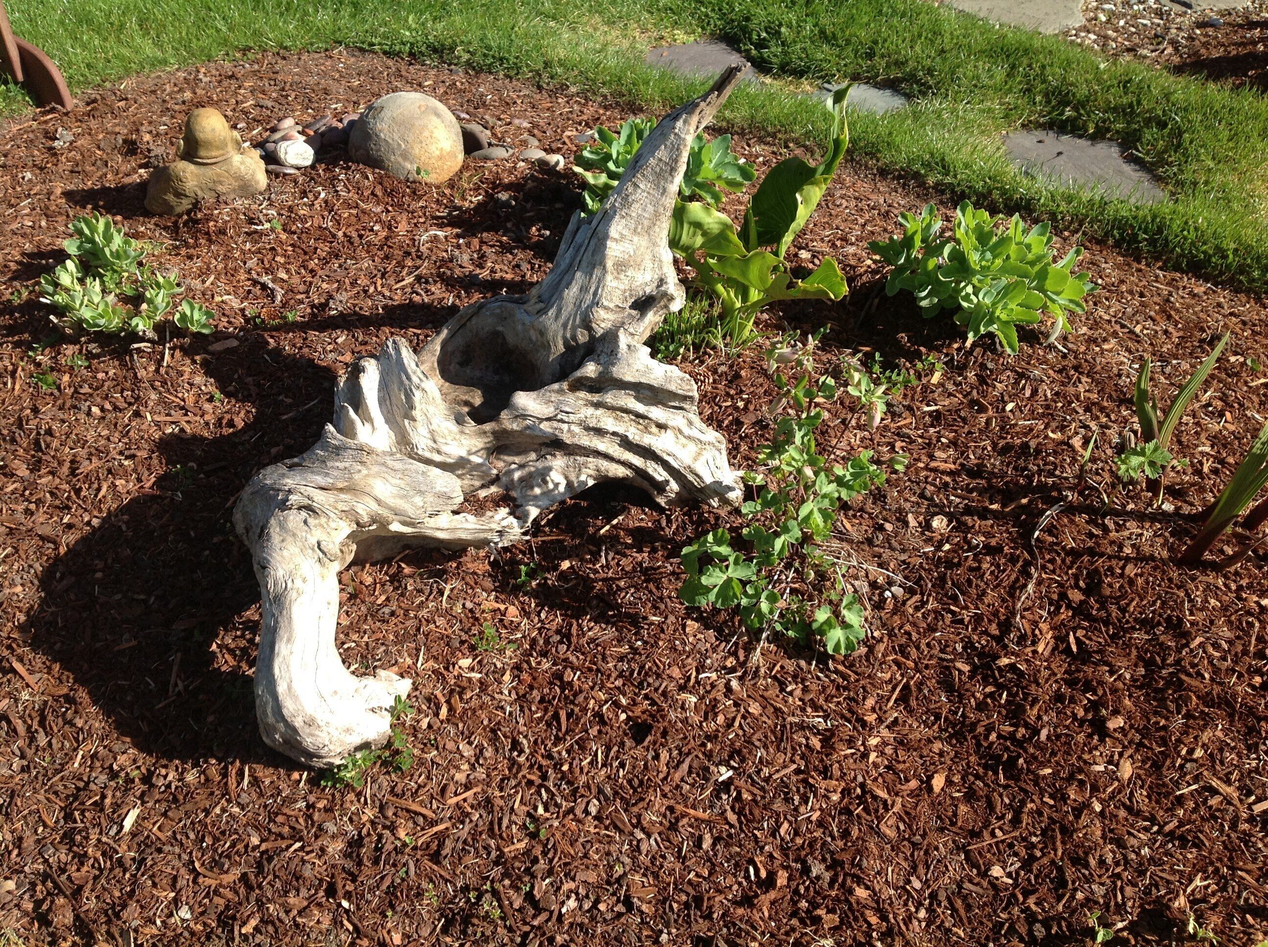 Tyee Lodge Bed and Breakfast