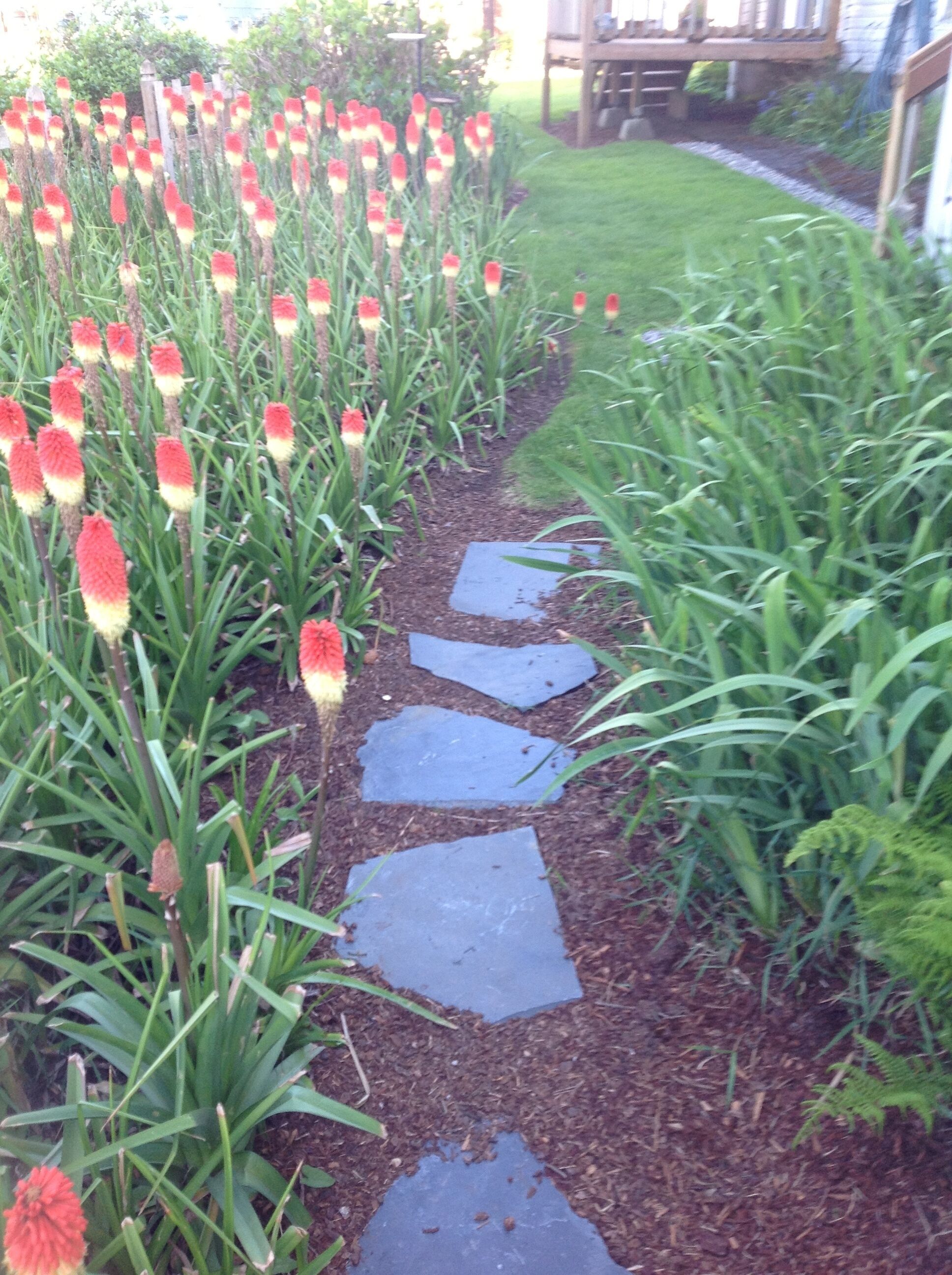 Tyee Lodge Bed and Breakfast