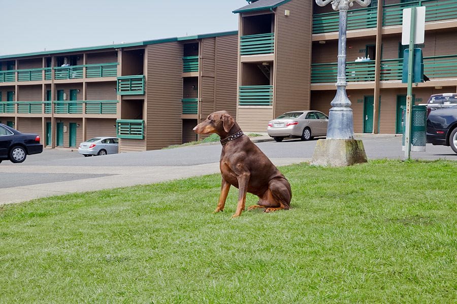 OYO Waves Hotel Newport OR - NYE Beach