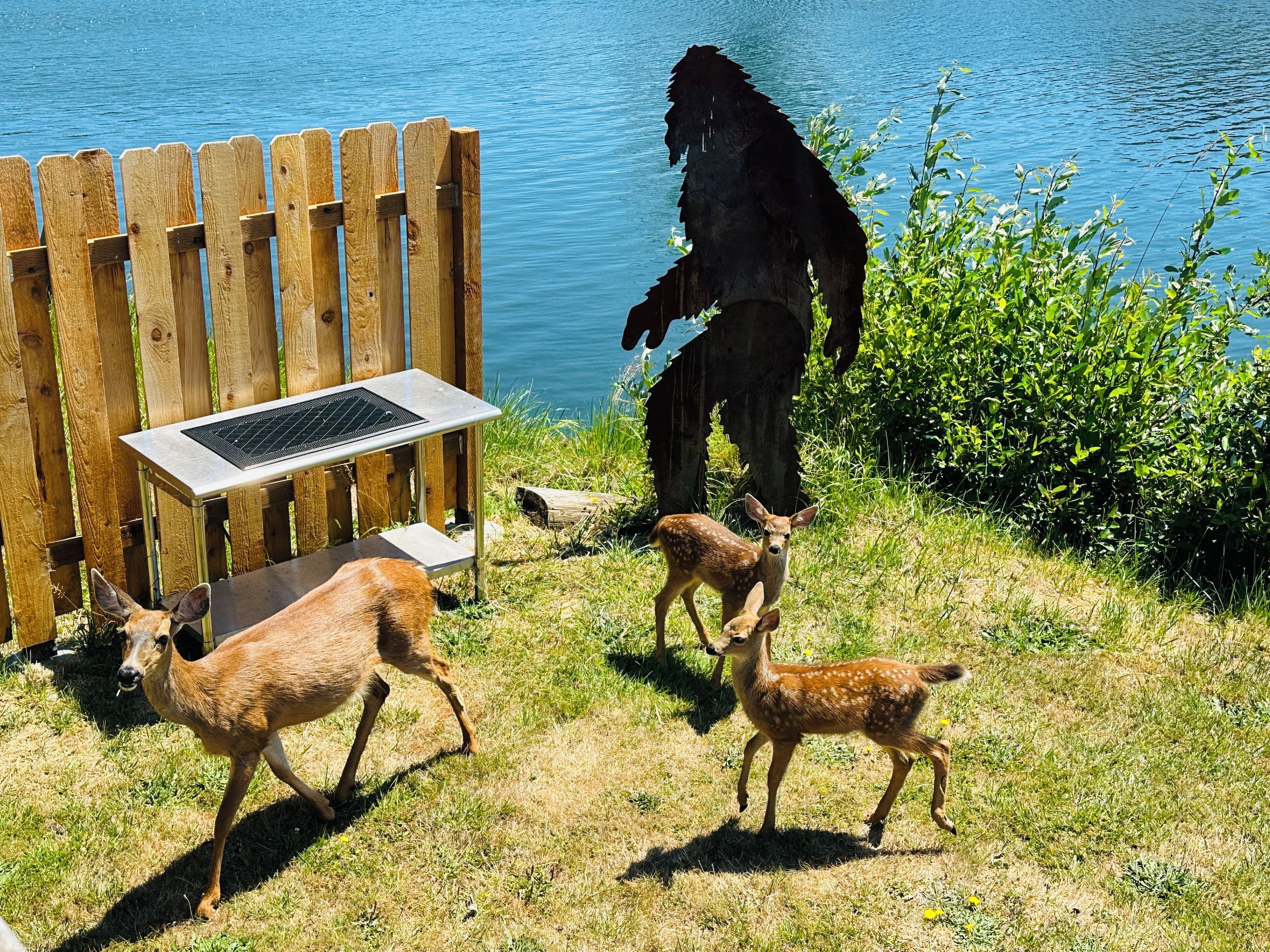 Raines Resort Cabins & RV