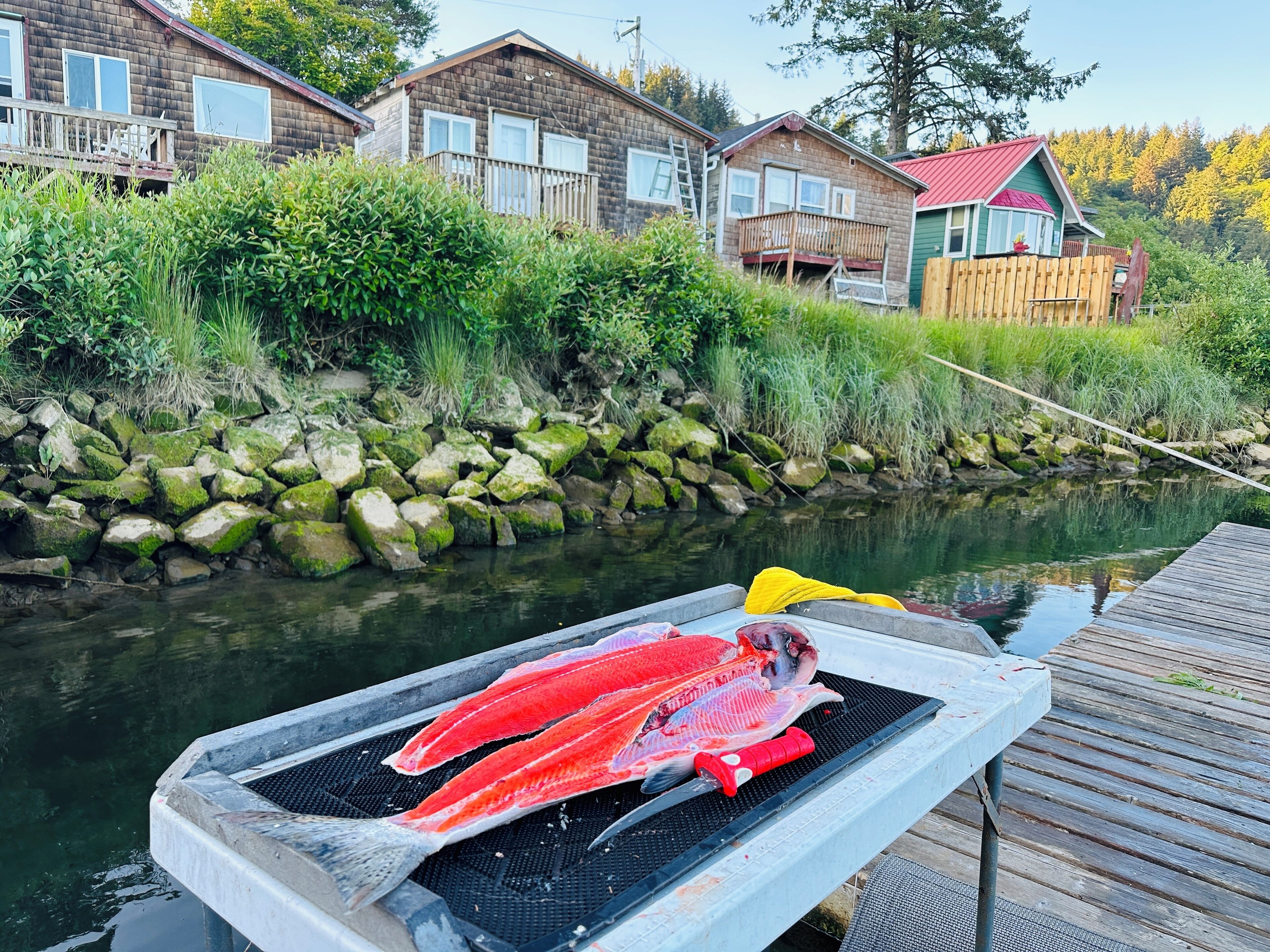 Raines Resort Cabins & RV