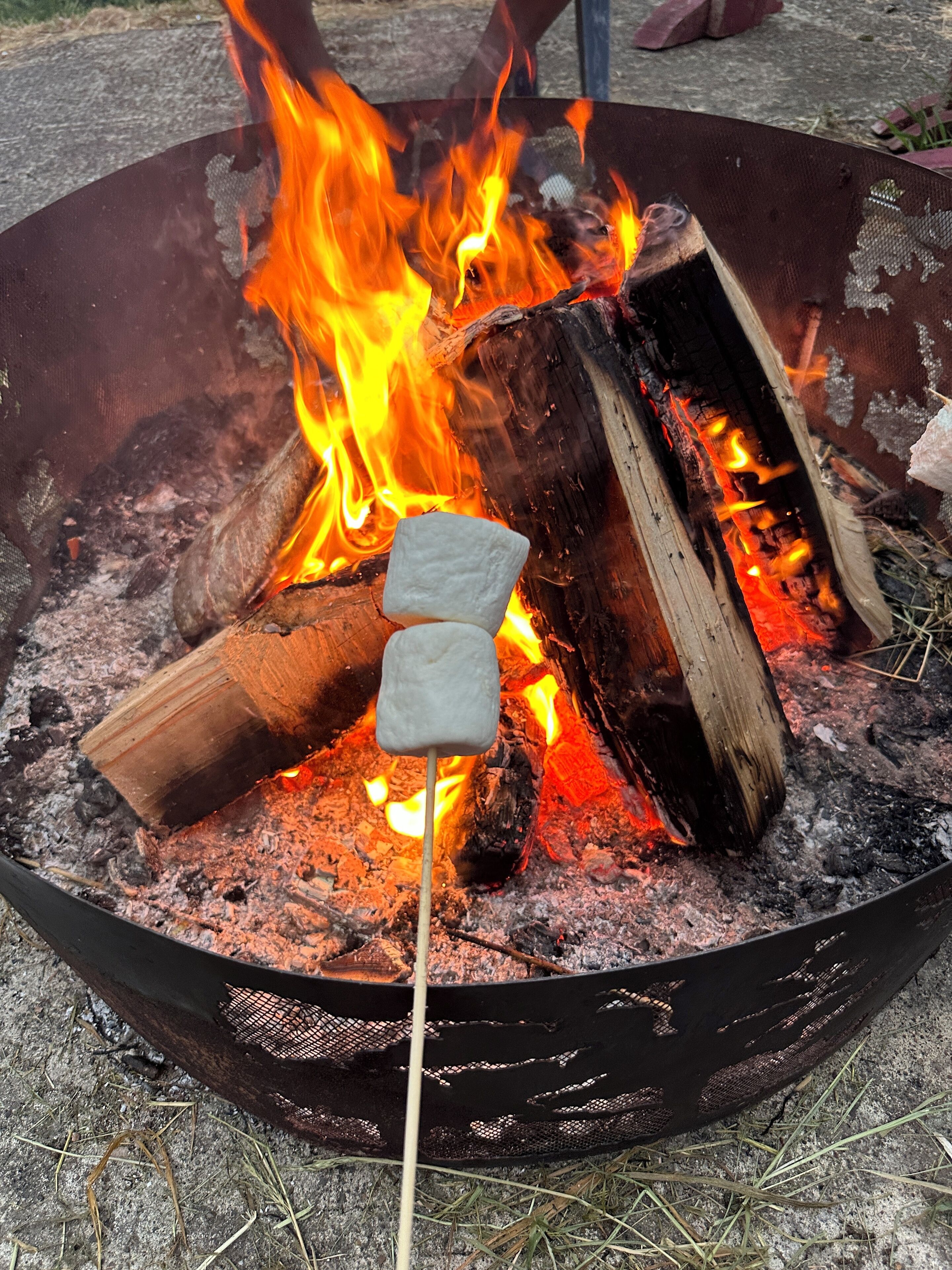 Raines Resort Cabins & RV