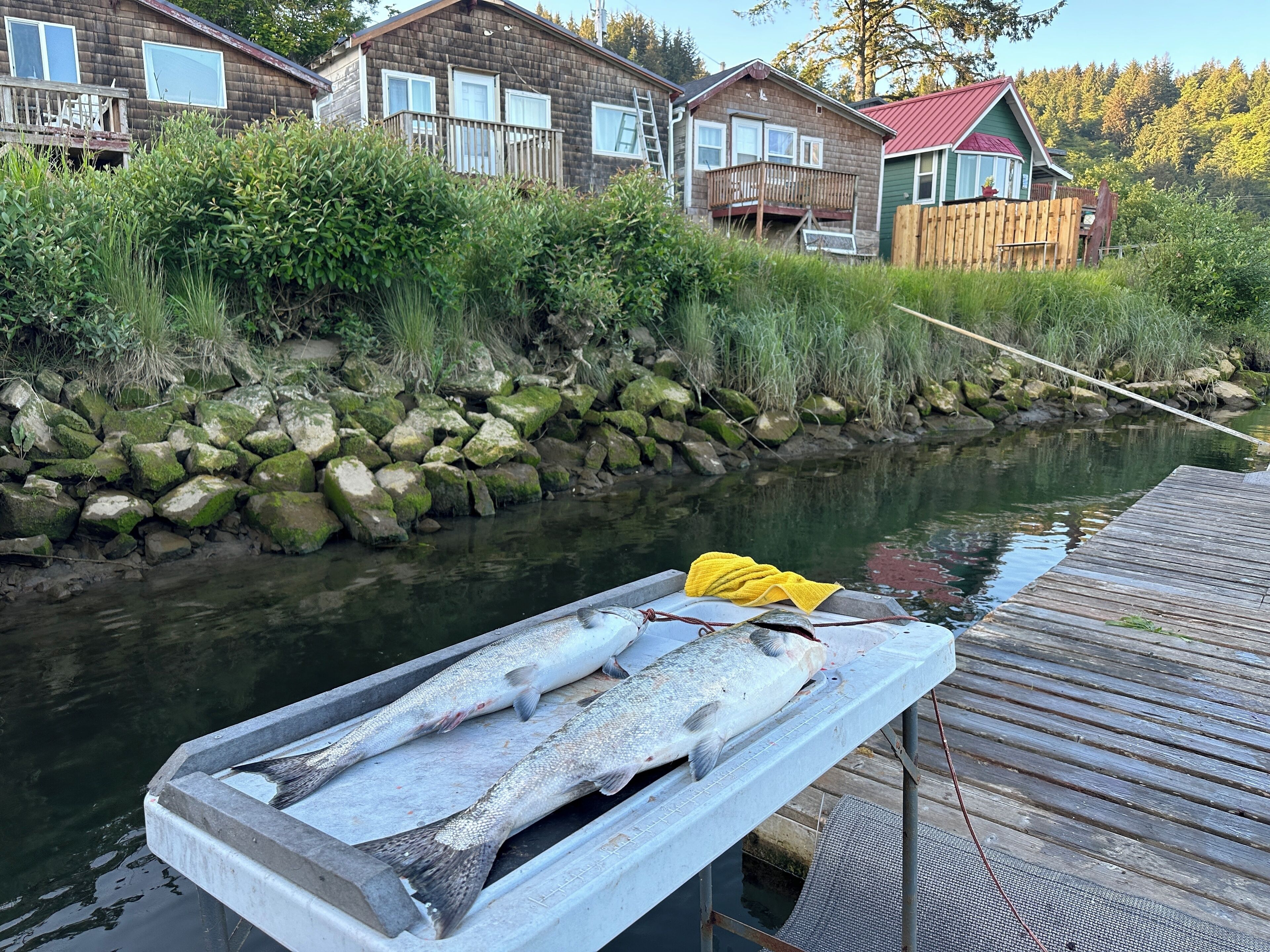 Raines Resort Cabins & RV