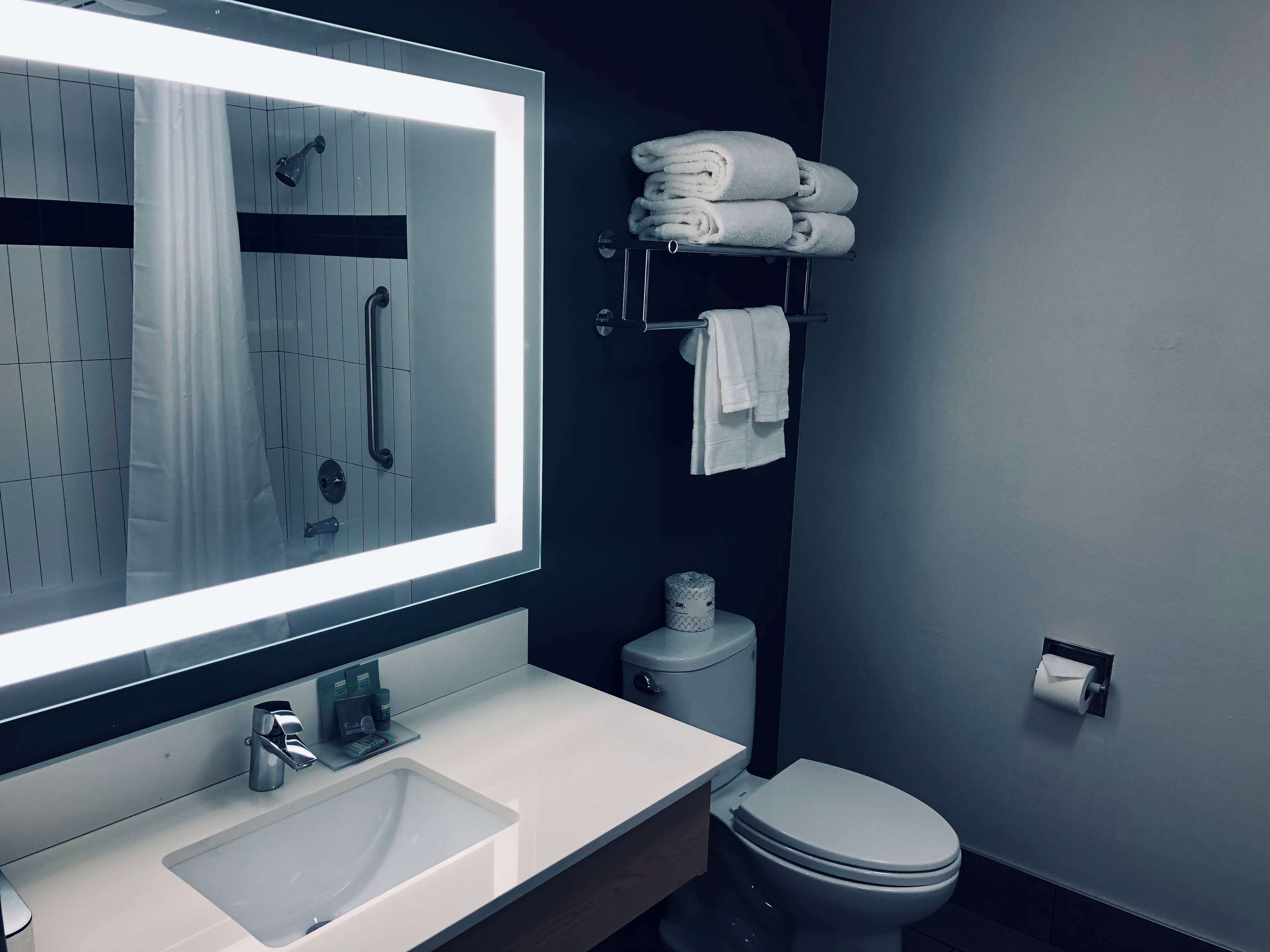 Best Western Hotel Portland West Beaverton