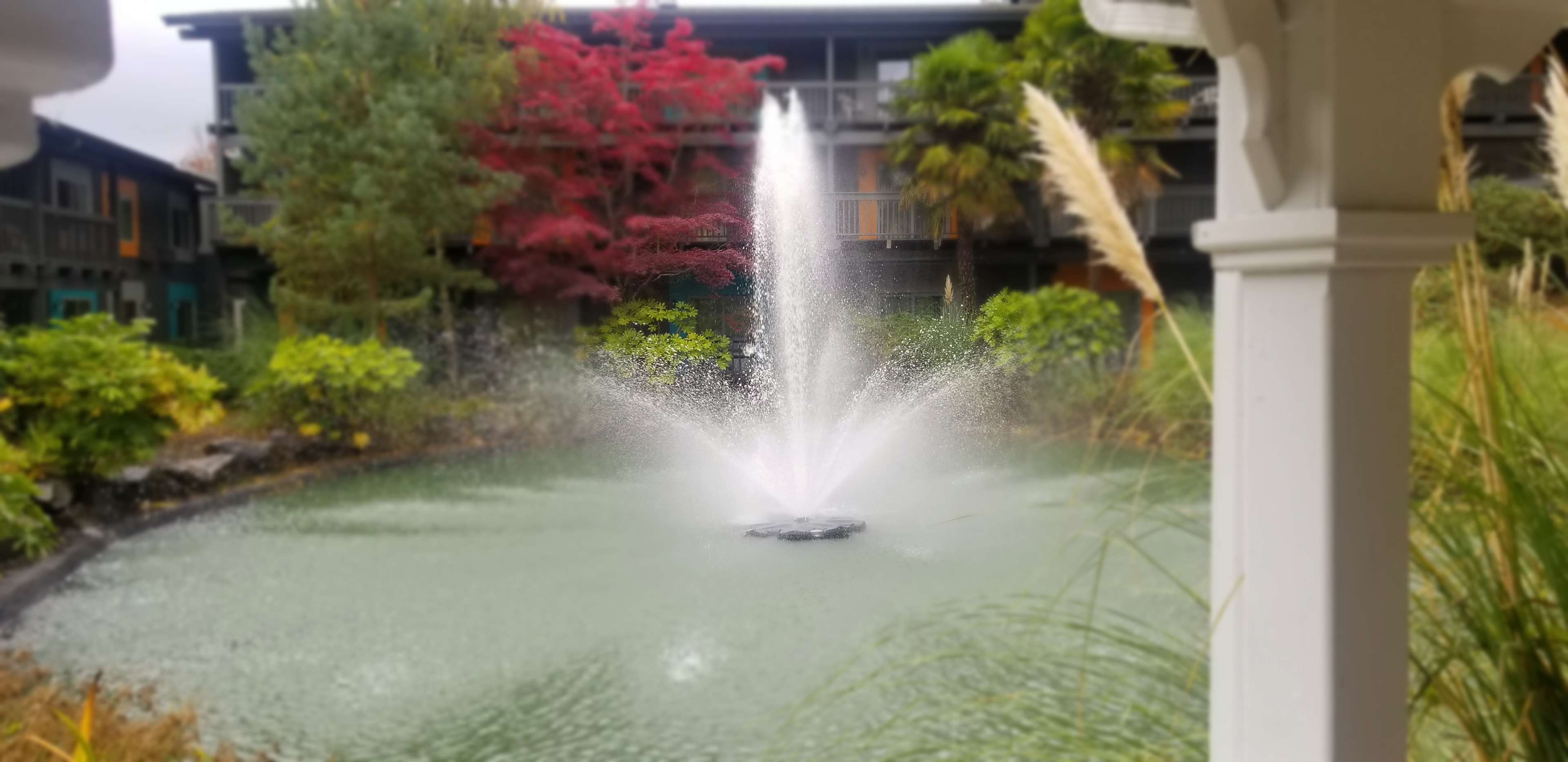 Best Western Hotel Portland West Beaverton