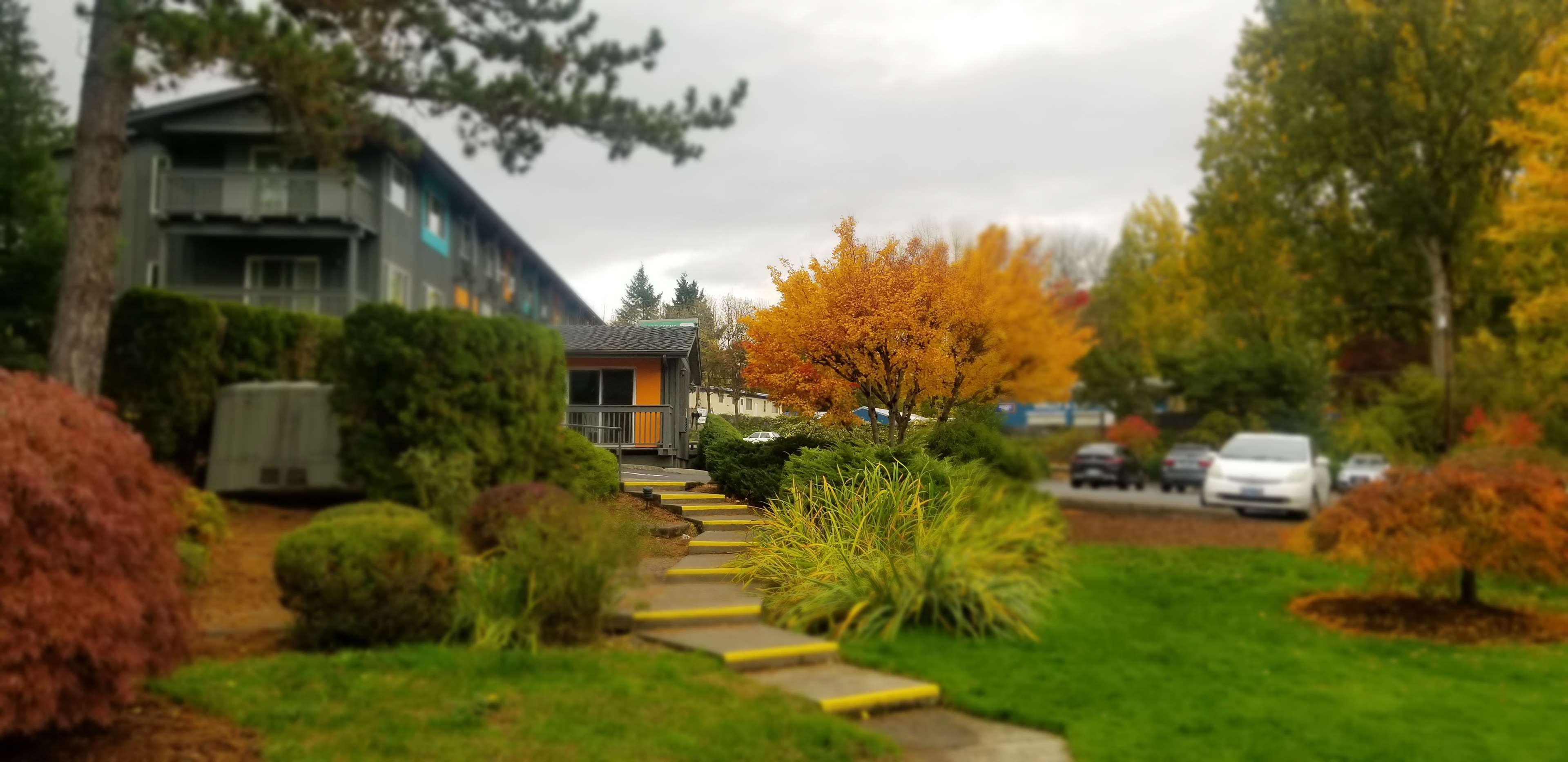 Best Western Hotel Portland West Beaverton