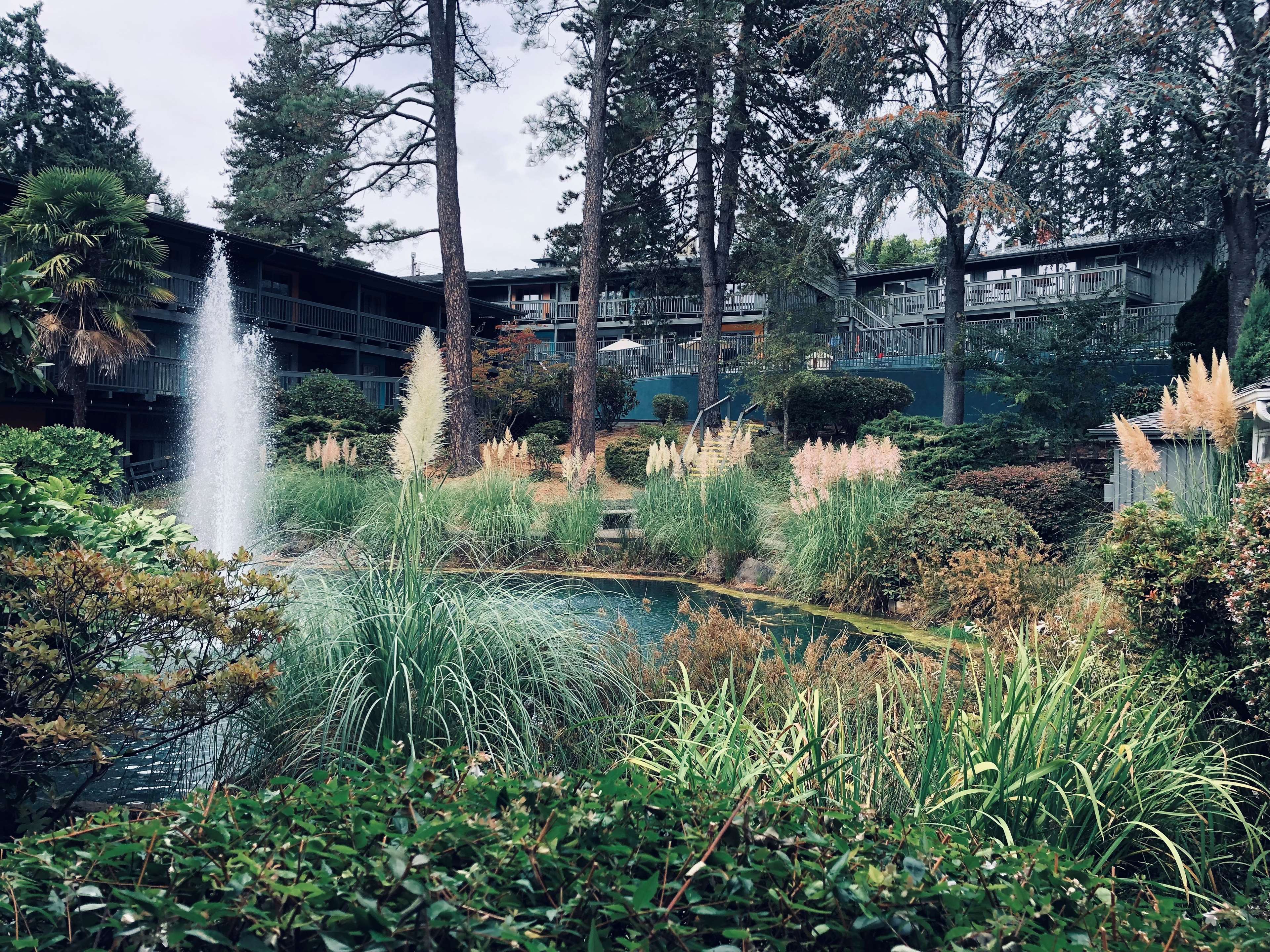 Best Western Hotel Portland West Beaverton