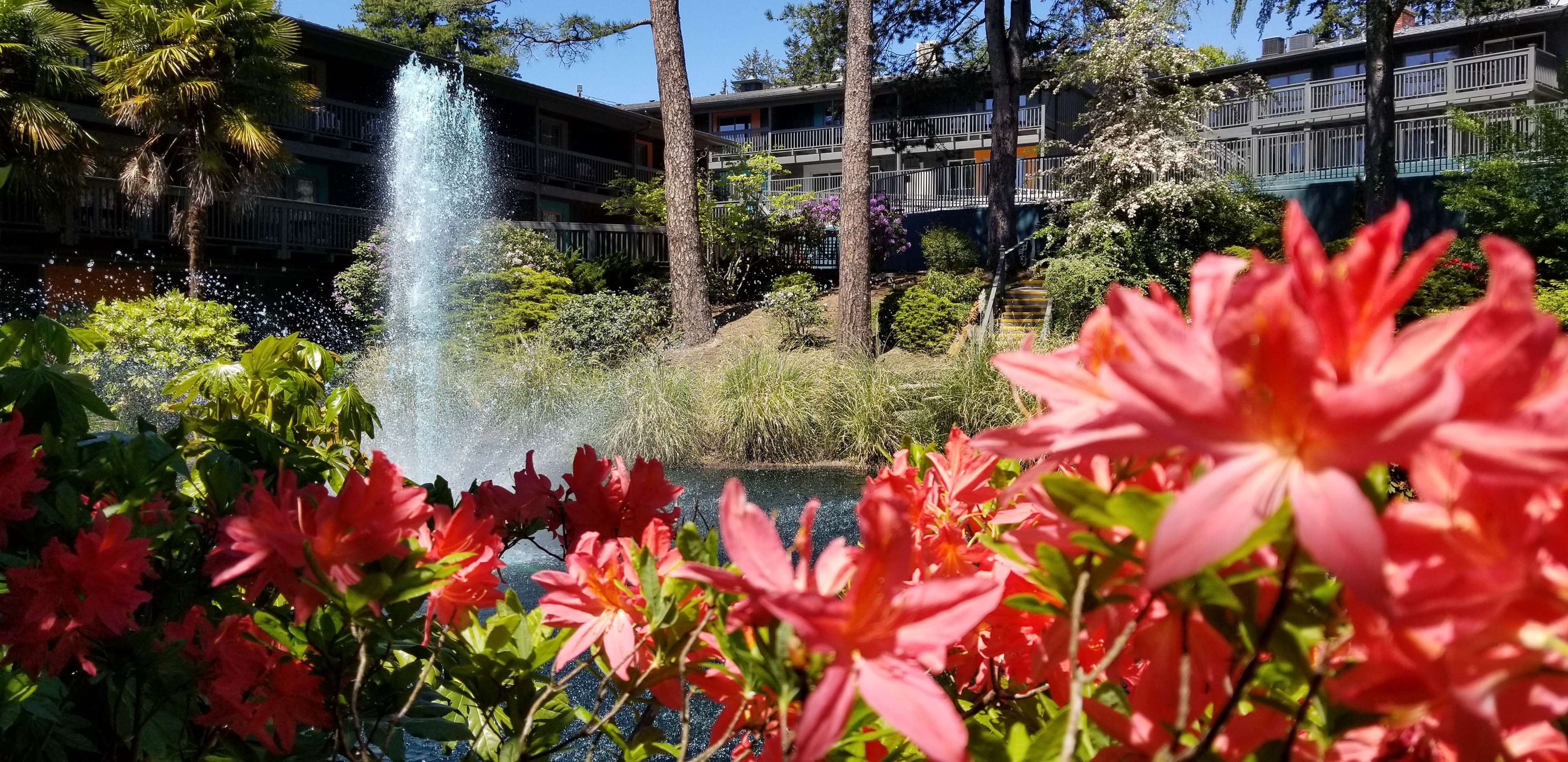 Best Western Hotel Portland West Beaverton