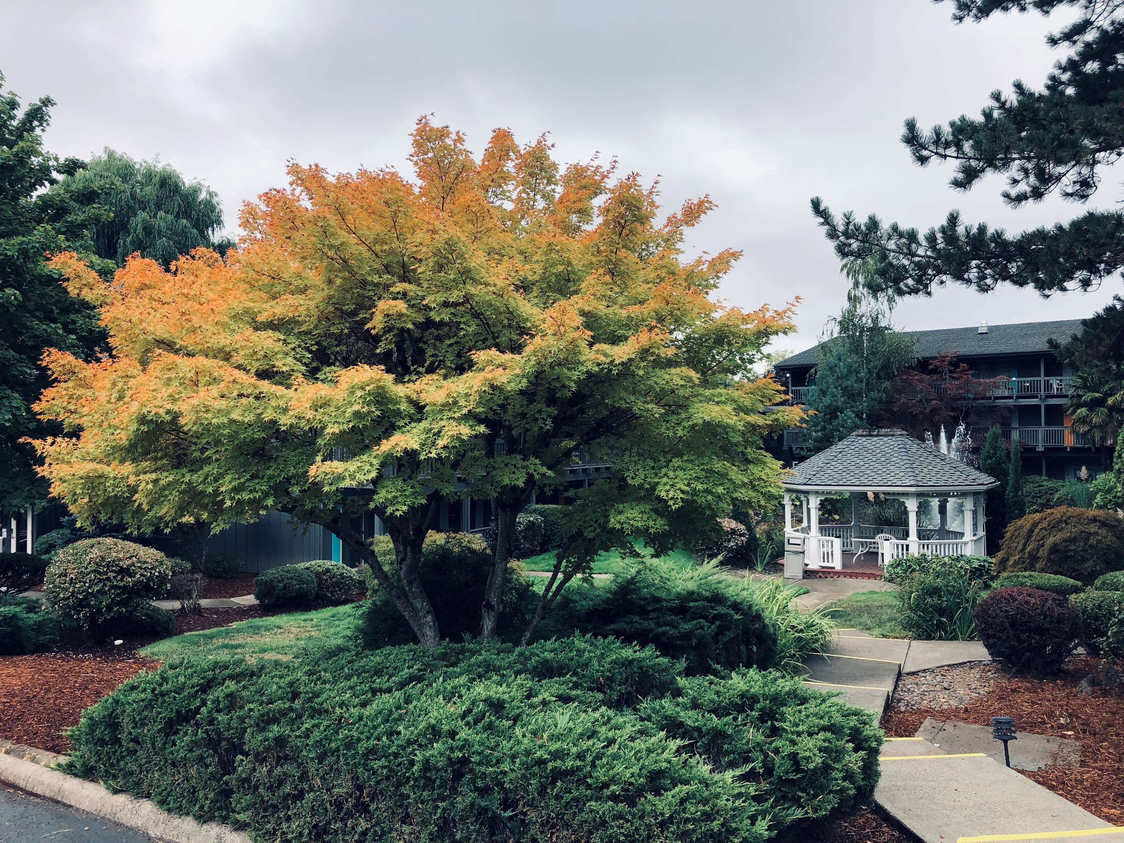 Best Western Hotel Portland West Beaverton