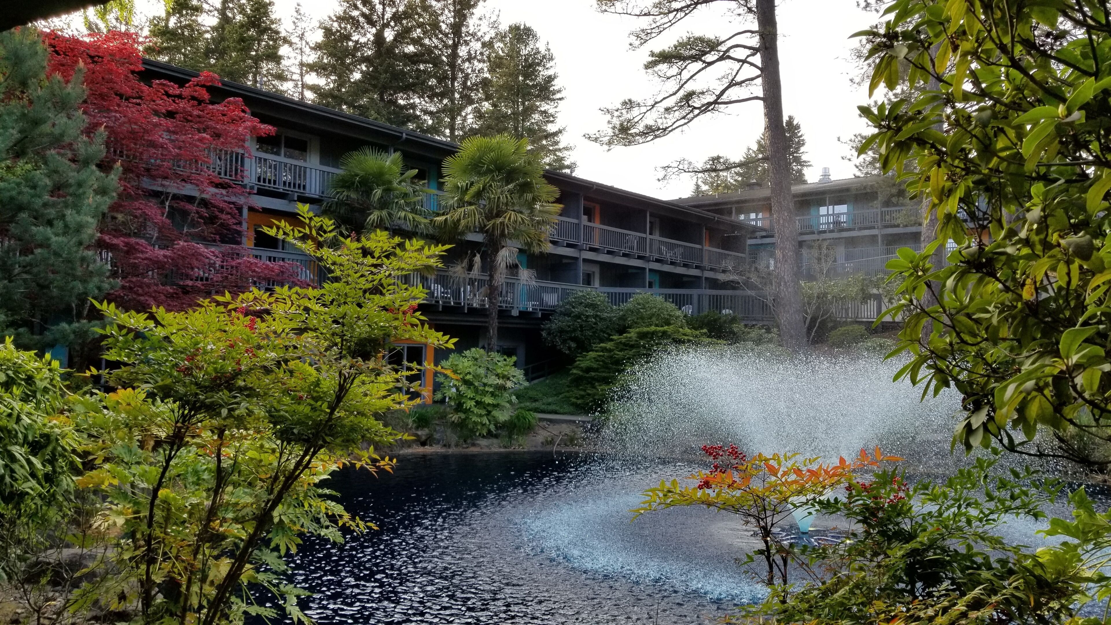 Best Western Hotel Portland West Beaverton