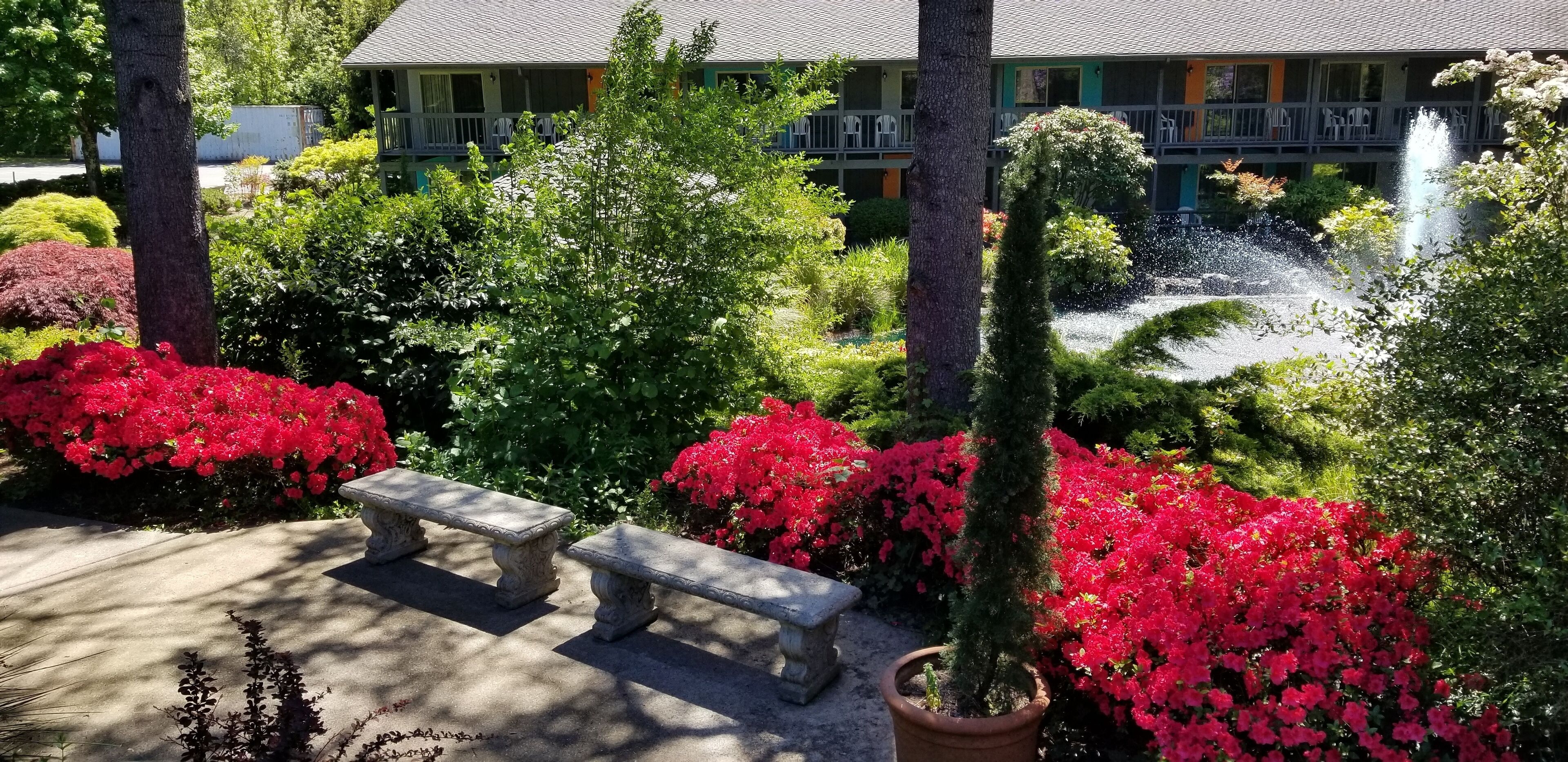 Best Western Hotel Portland West Beaverton