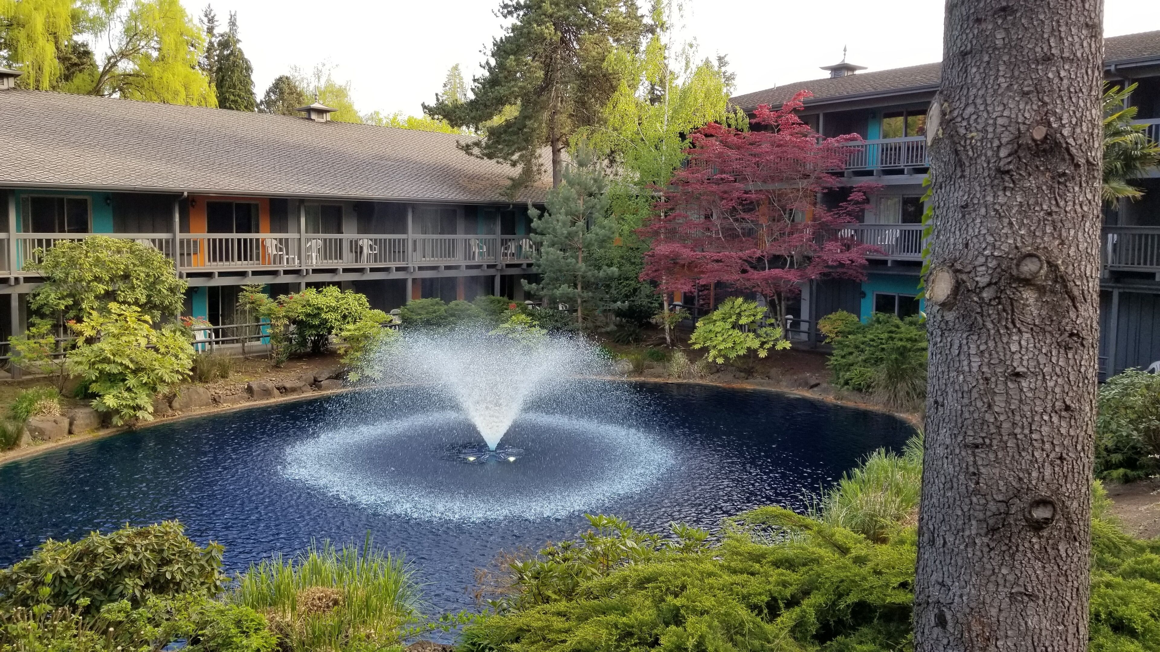 Best Western Hotel Portland West Beaverton