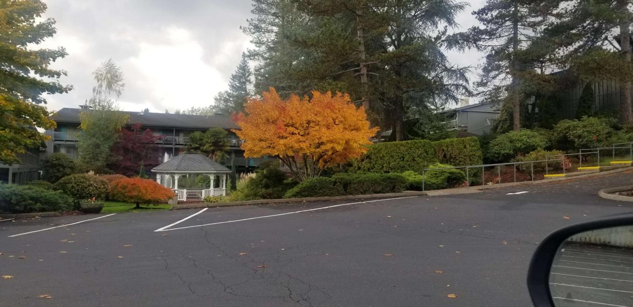 Best Western Hotel Portland West Beaverton