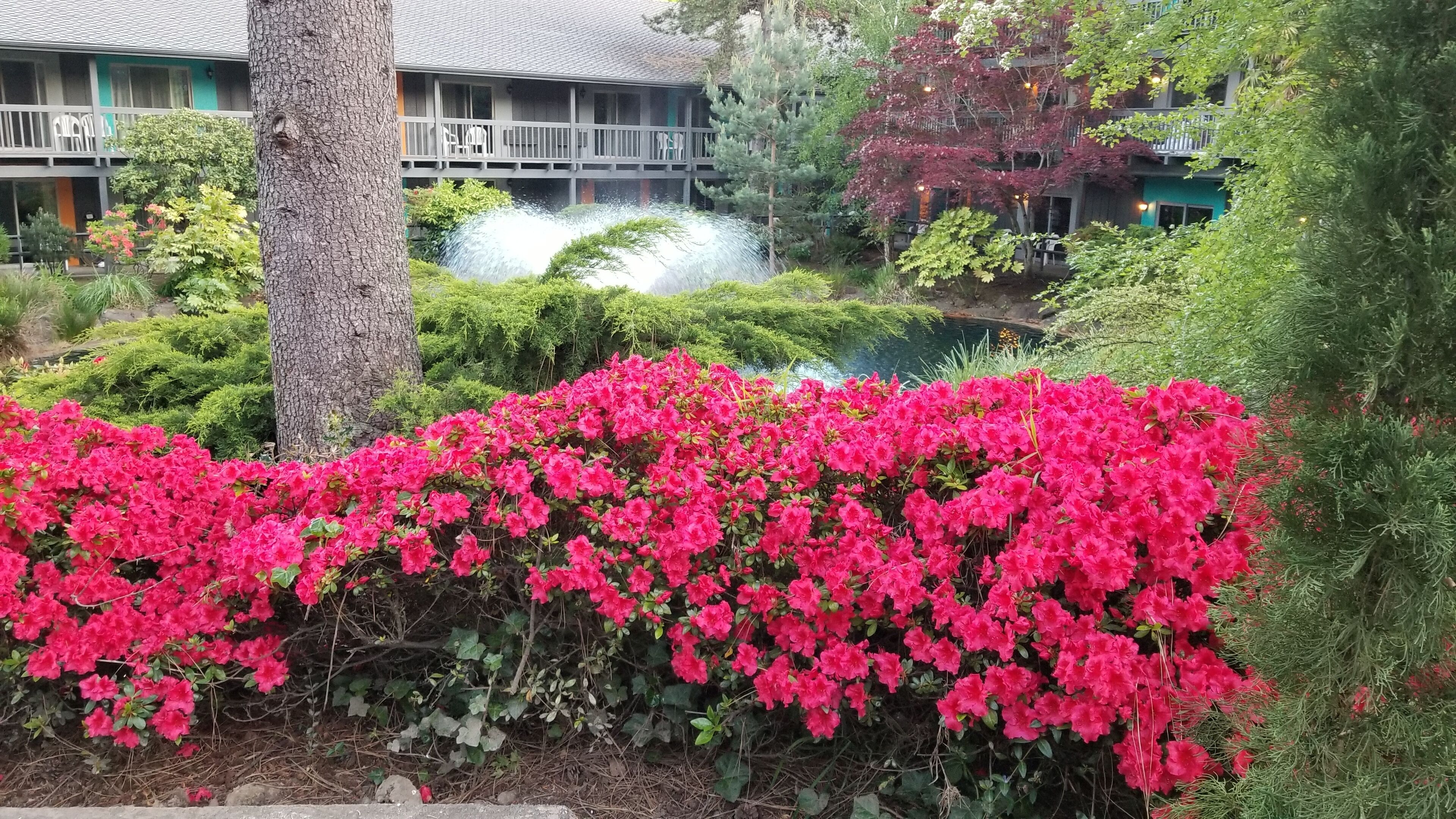 Best Western Hotel Portland West Beaverton