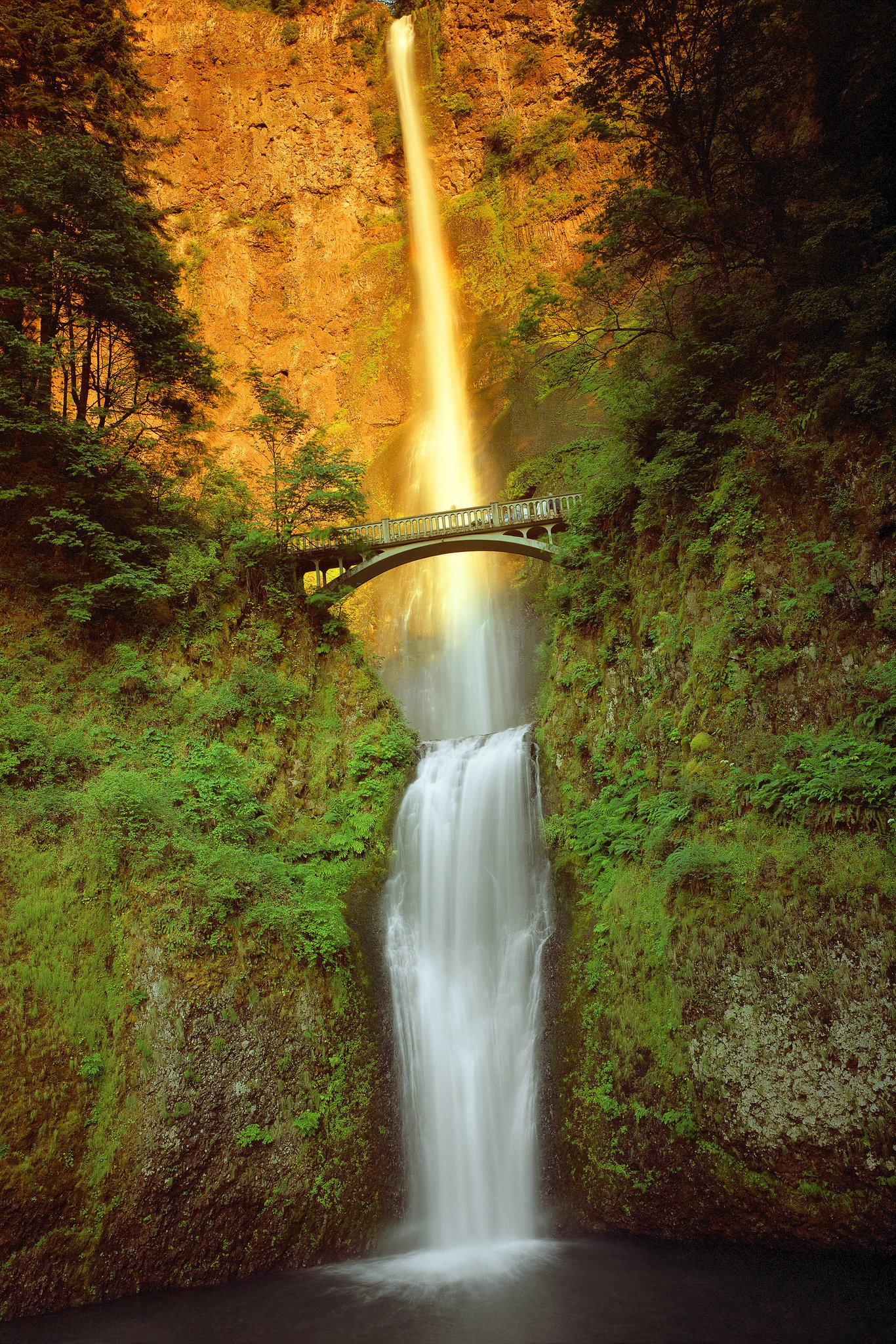 Park Lane Suites & Inn