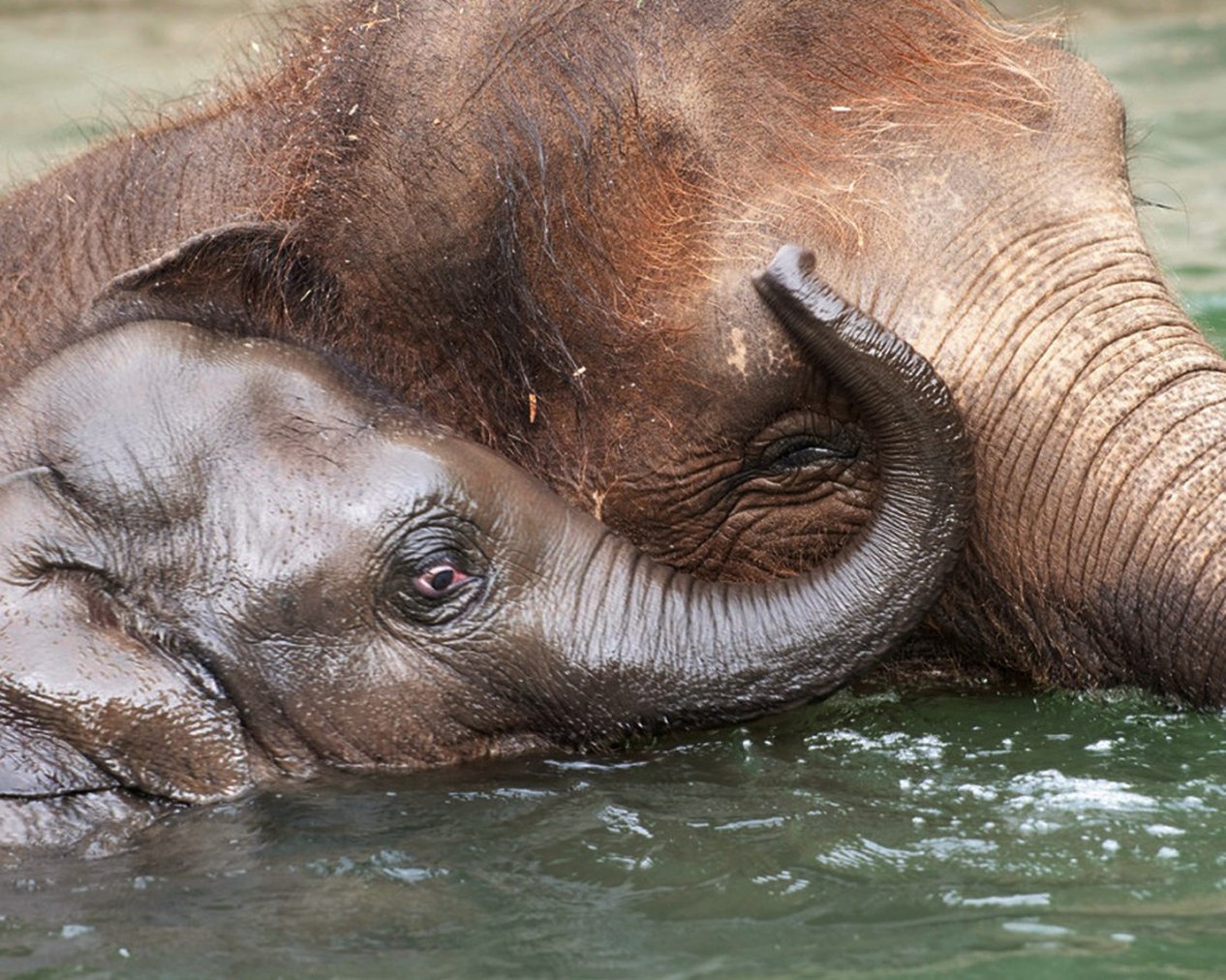 Park Lane Suites & Inn