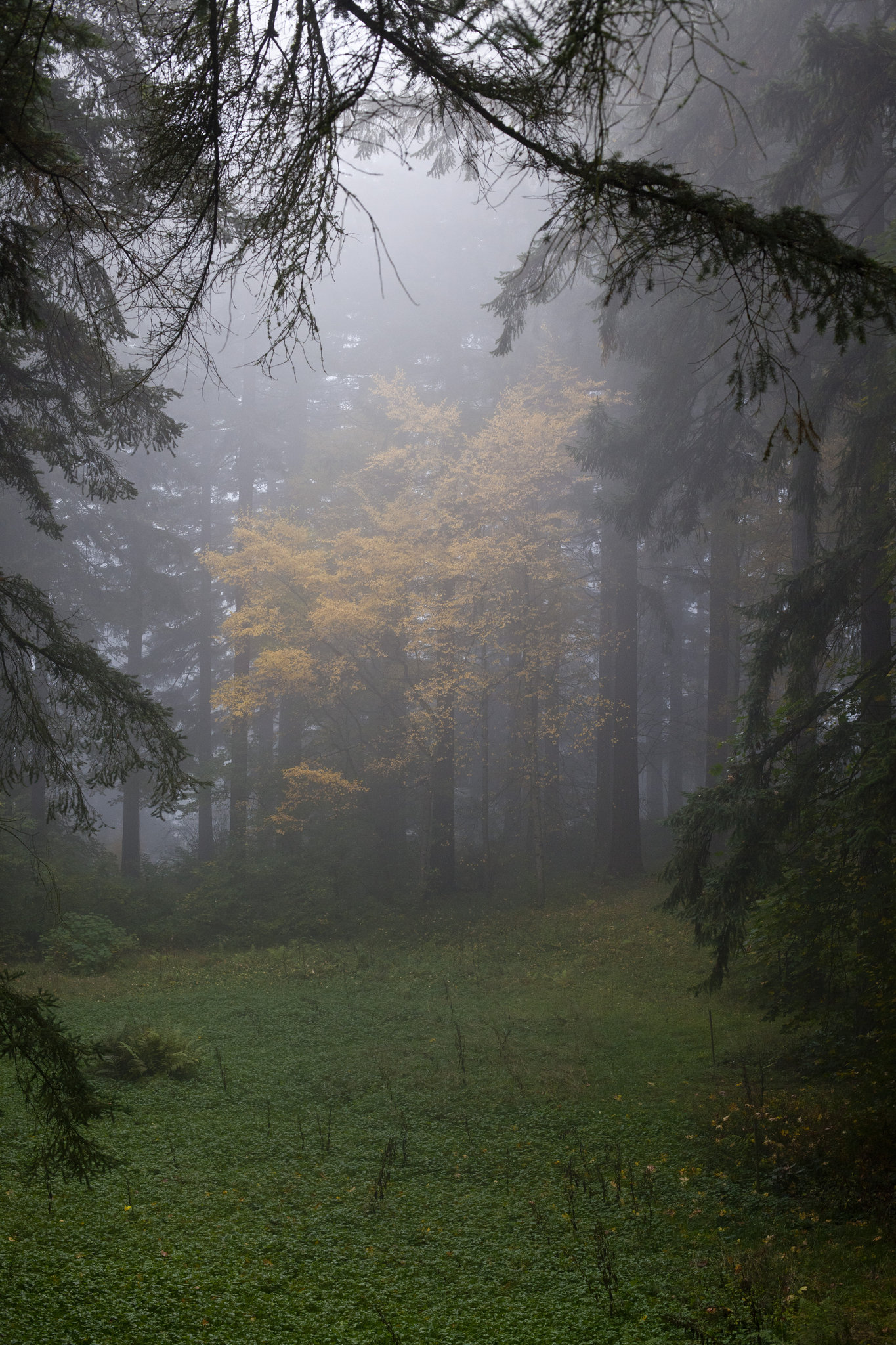 Park Lane Suites & Inn