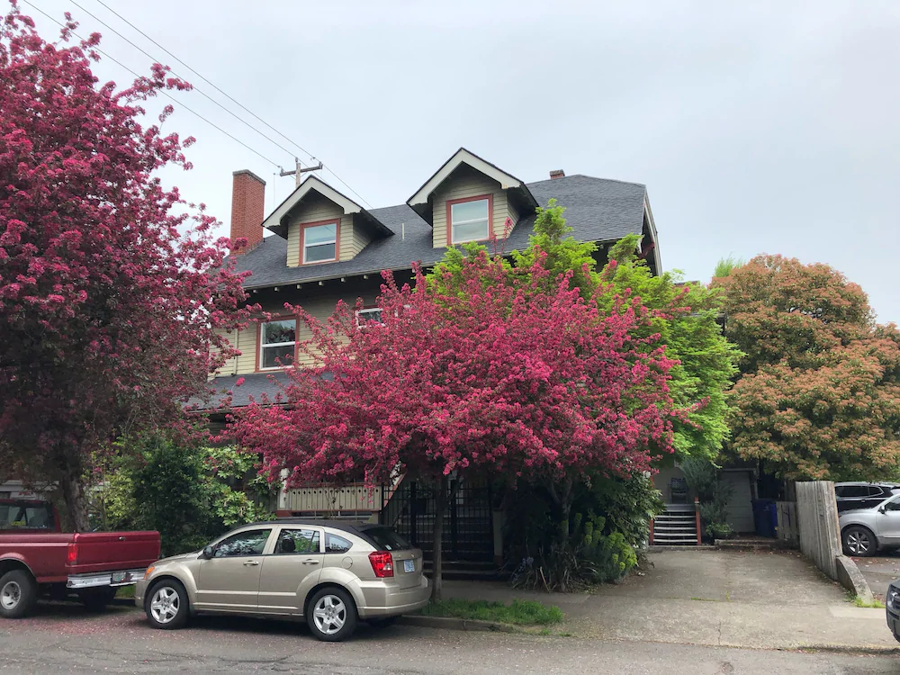 Portland International Guesthouse