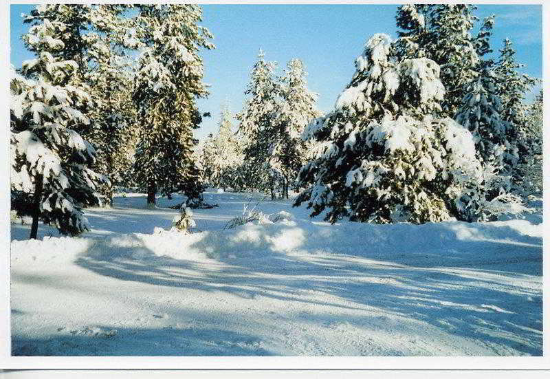 Best Western Prineville Inn