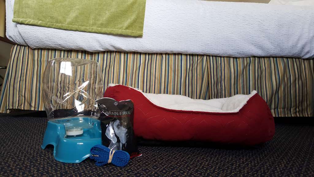 Best Western Sandy Inn