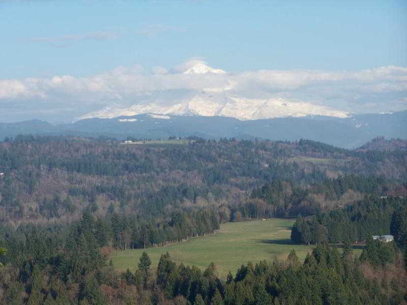 Best Western Sandy Inn