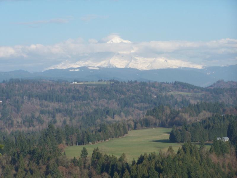 Best Western Sandy Inn