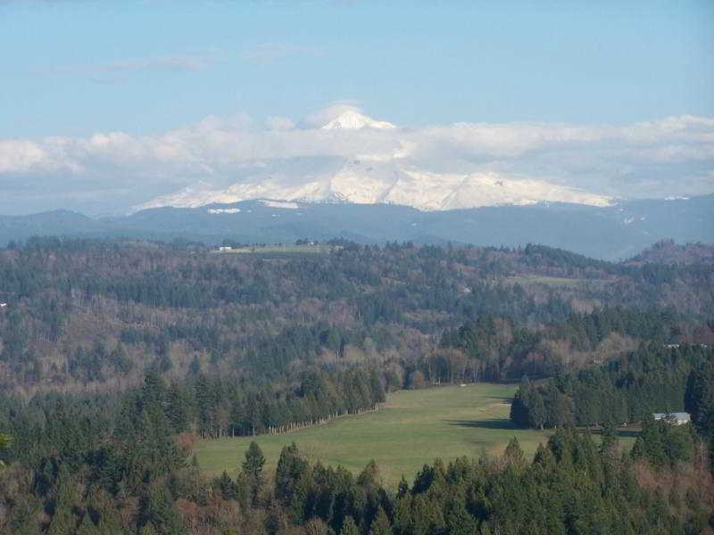 Best Western Sandy Inn